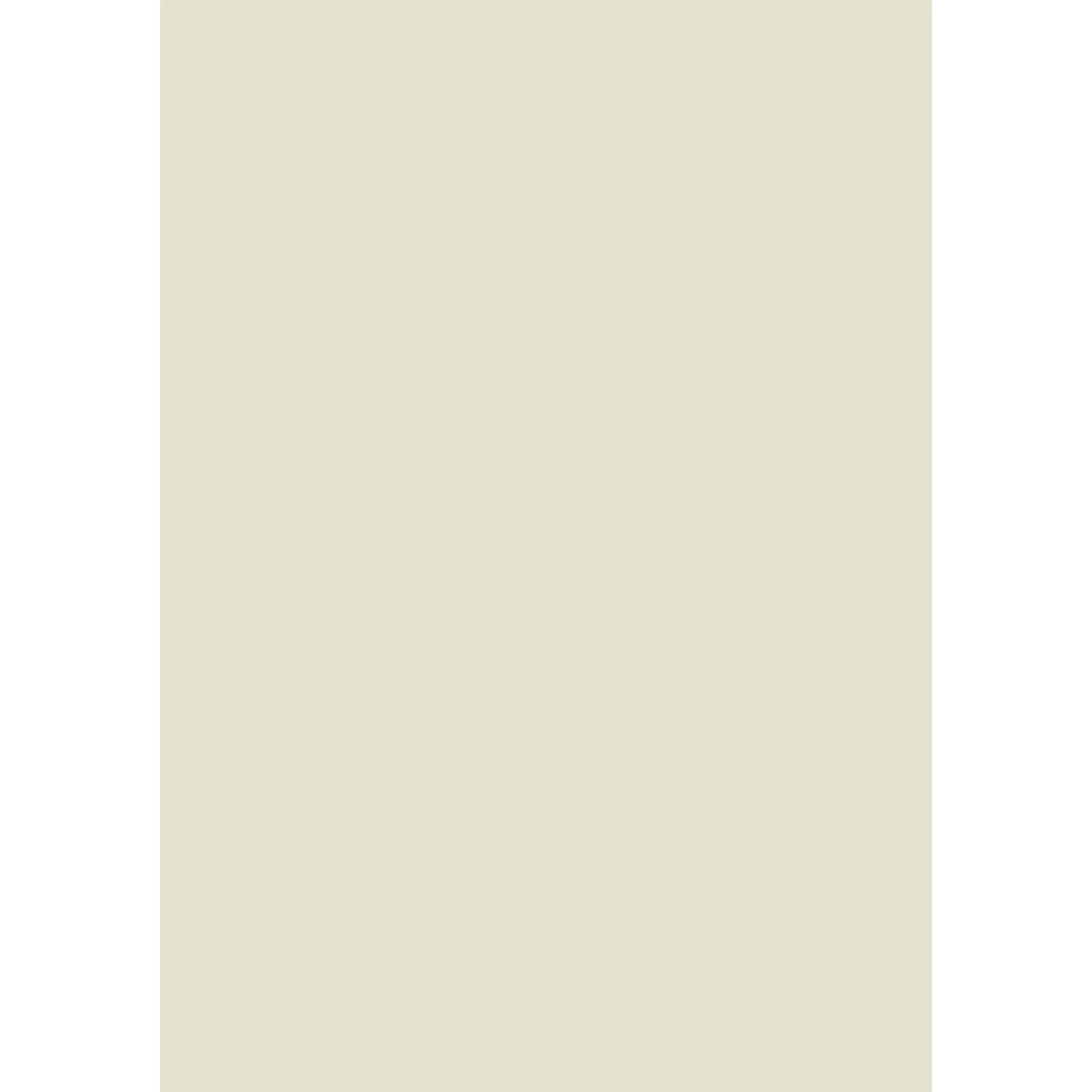 Ammonite No. 274 peinture Farrow & Ball - Image 3