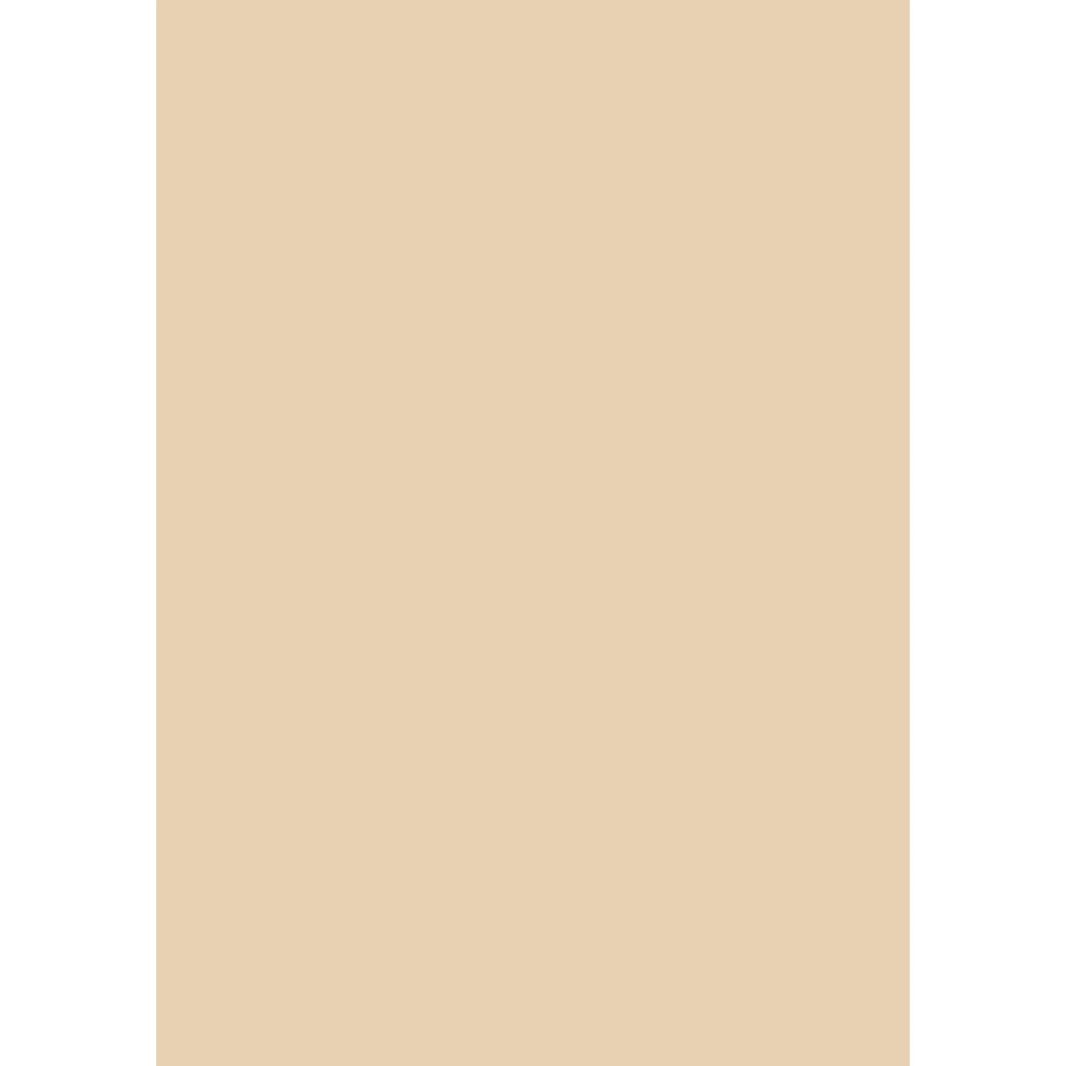 Archive No. 227 peinture Farrow & Ball - Image 3