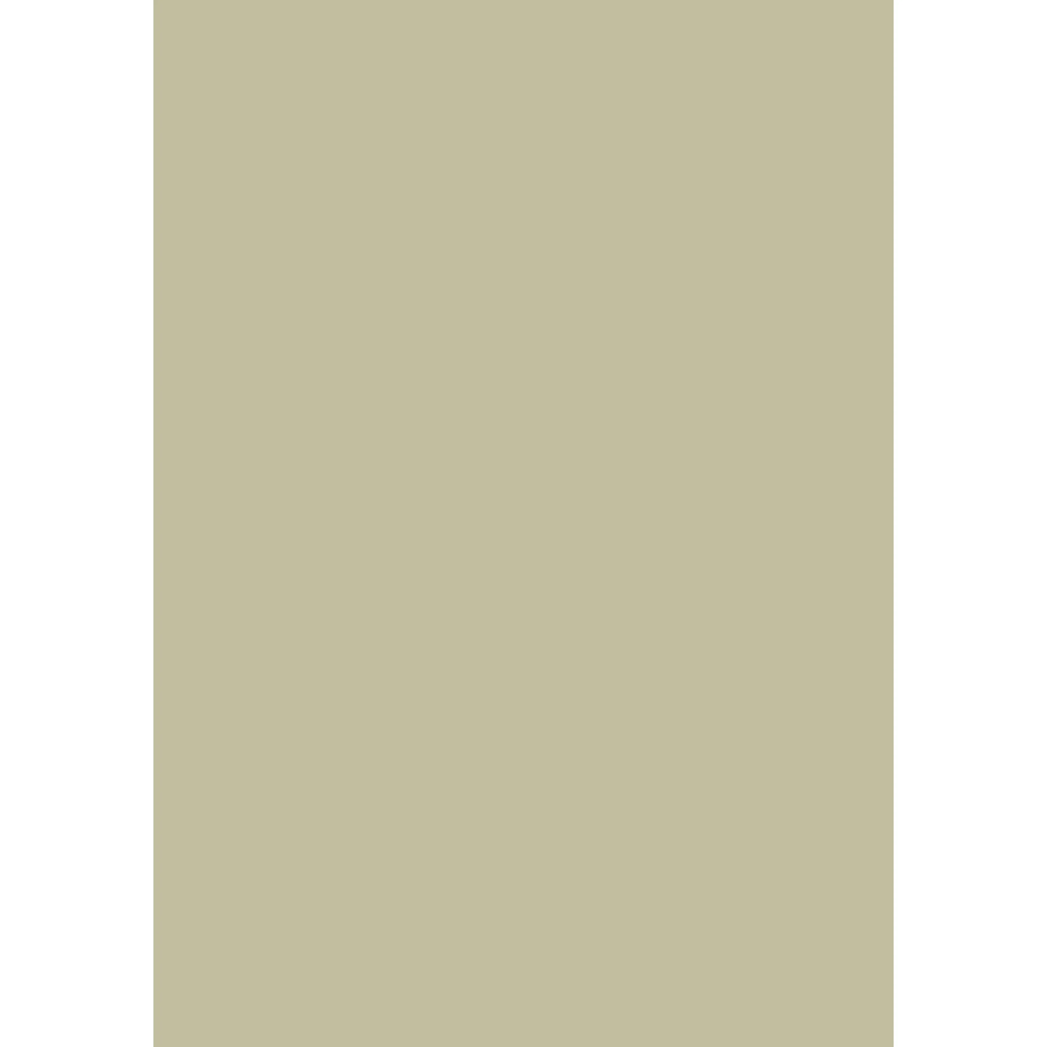Ash Grey No. W9 peinture Farrow & Ball - Image 3