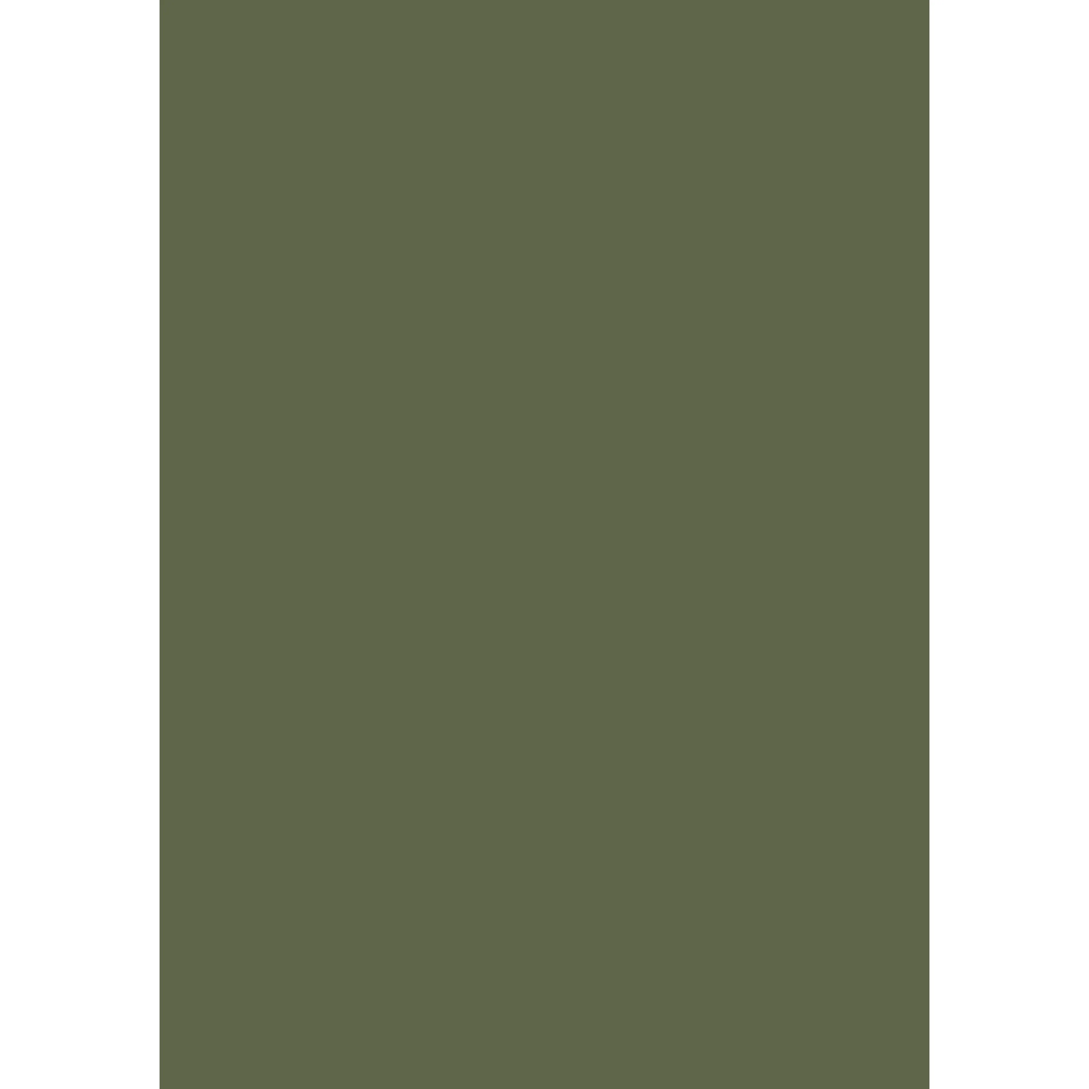 Bancha No. 298 peinture Farrow & Ball - Image 3
