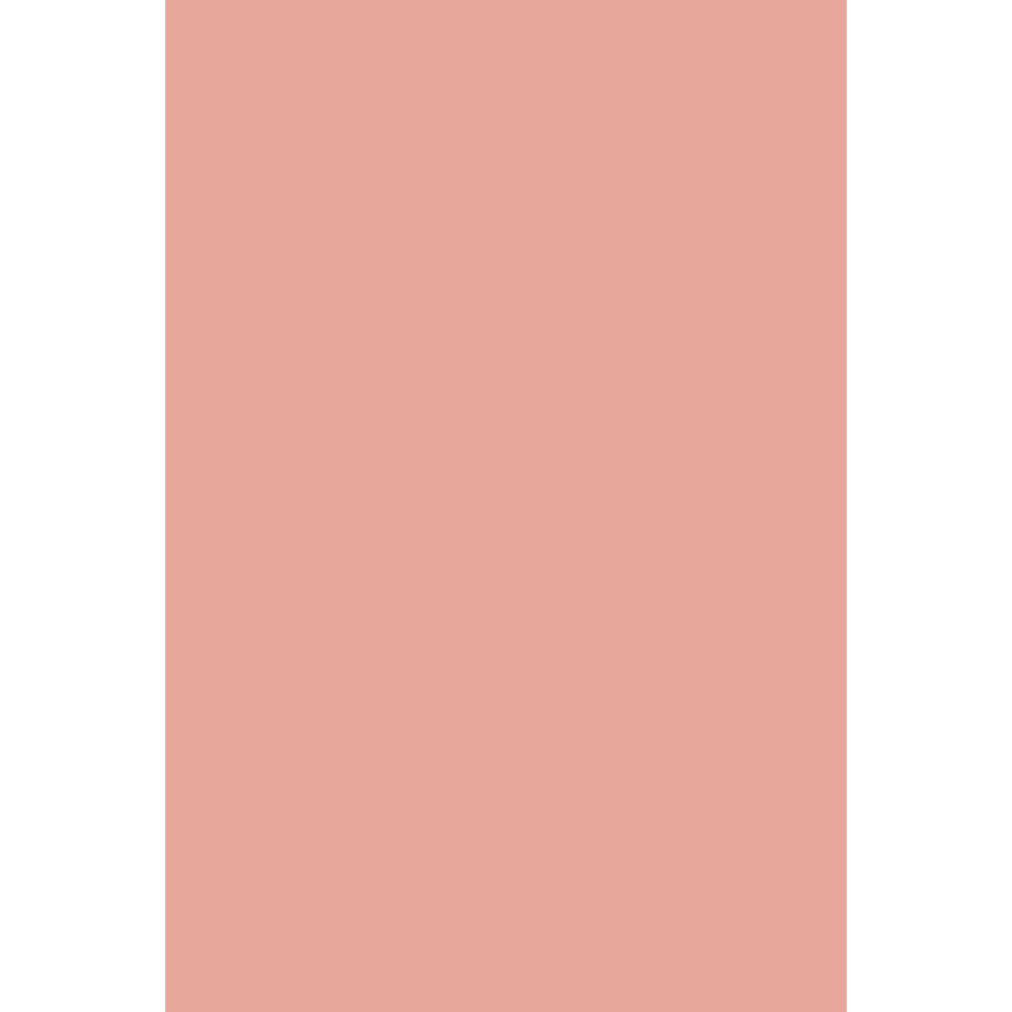 Blooth Pink No. 9806 peinture Farrow & Ball - Image 2