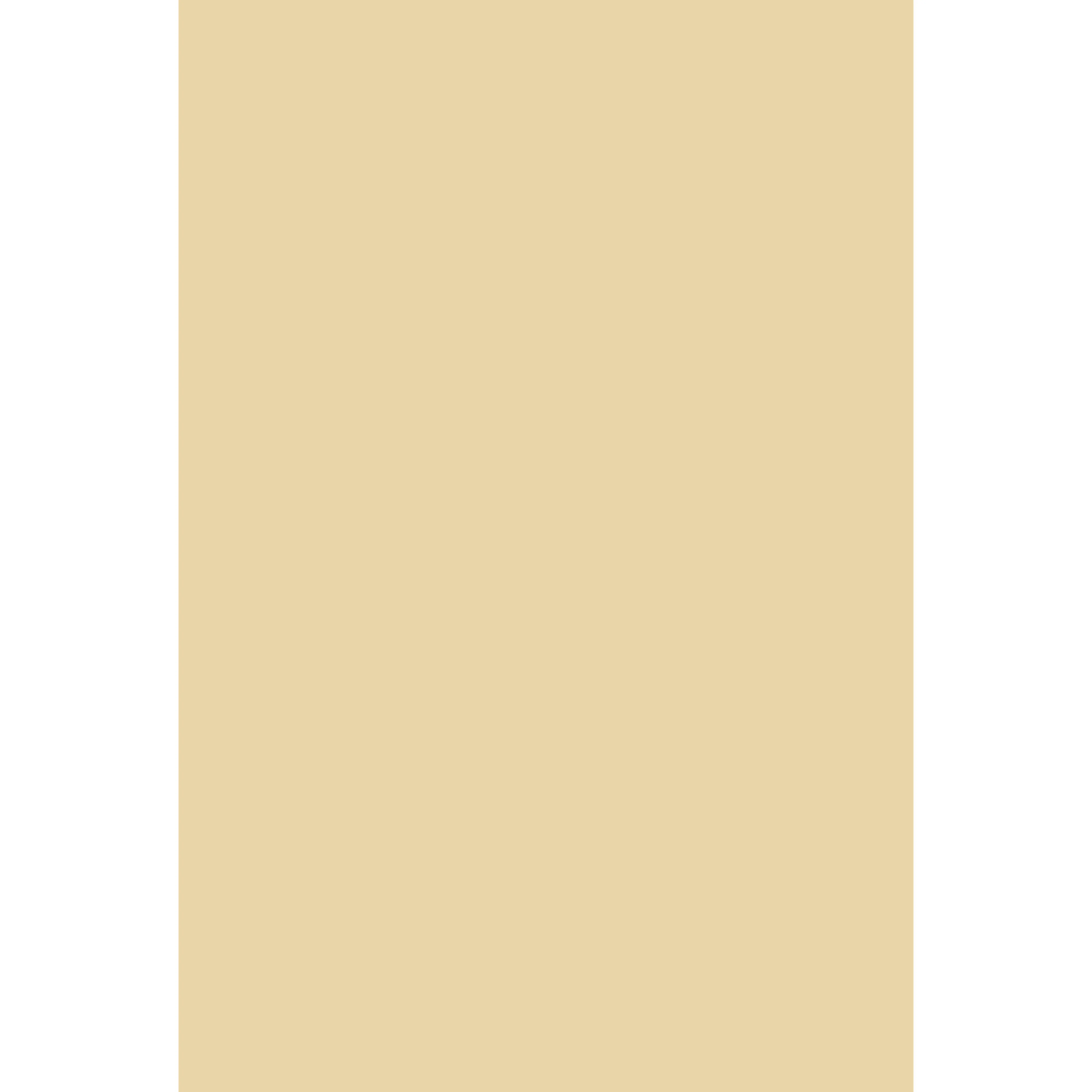 Bombazine No. 9902 peinture Farrow & Ball - Image 2
