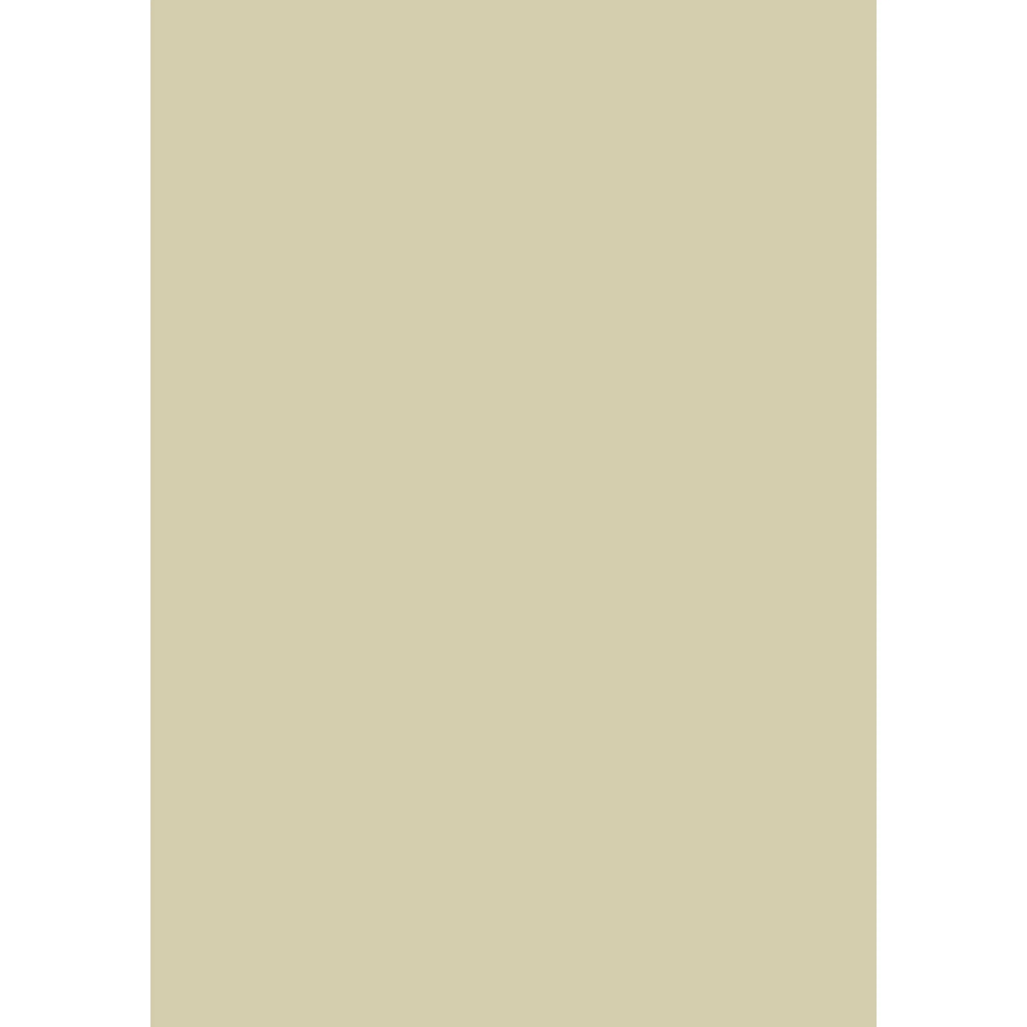 Bone No. 15 peinture Farrow & Ball - Image 3