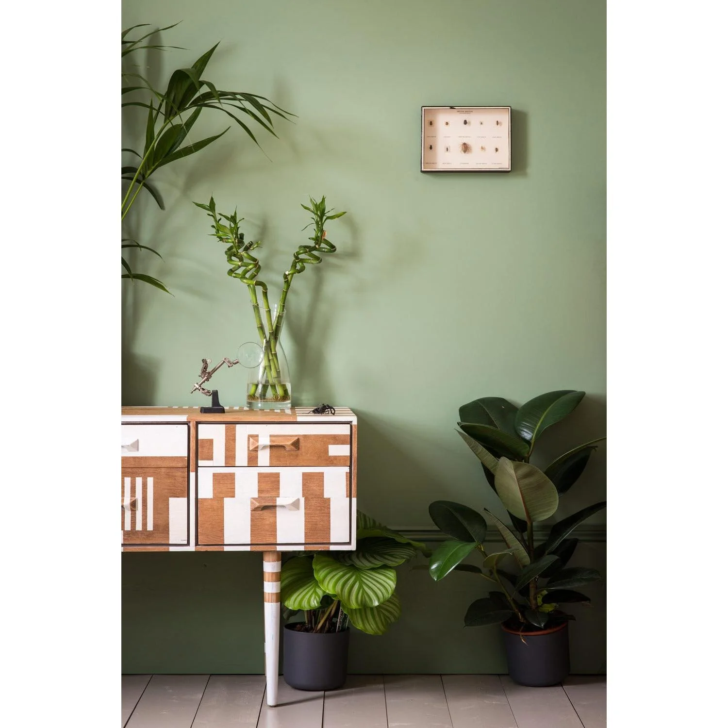 Breakfast Room Green No. 81 peinture Farrow & Ball - Image 2