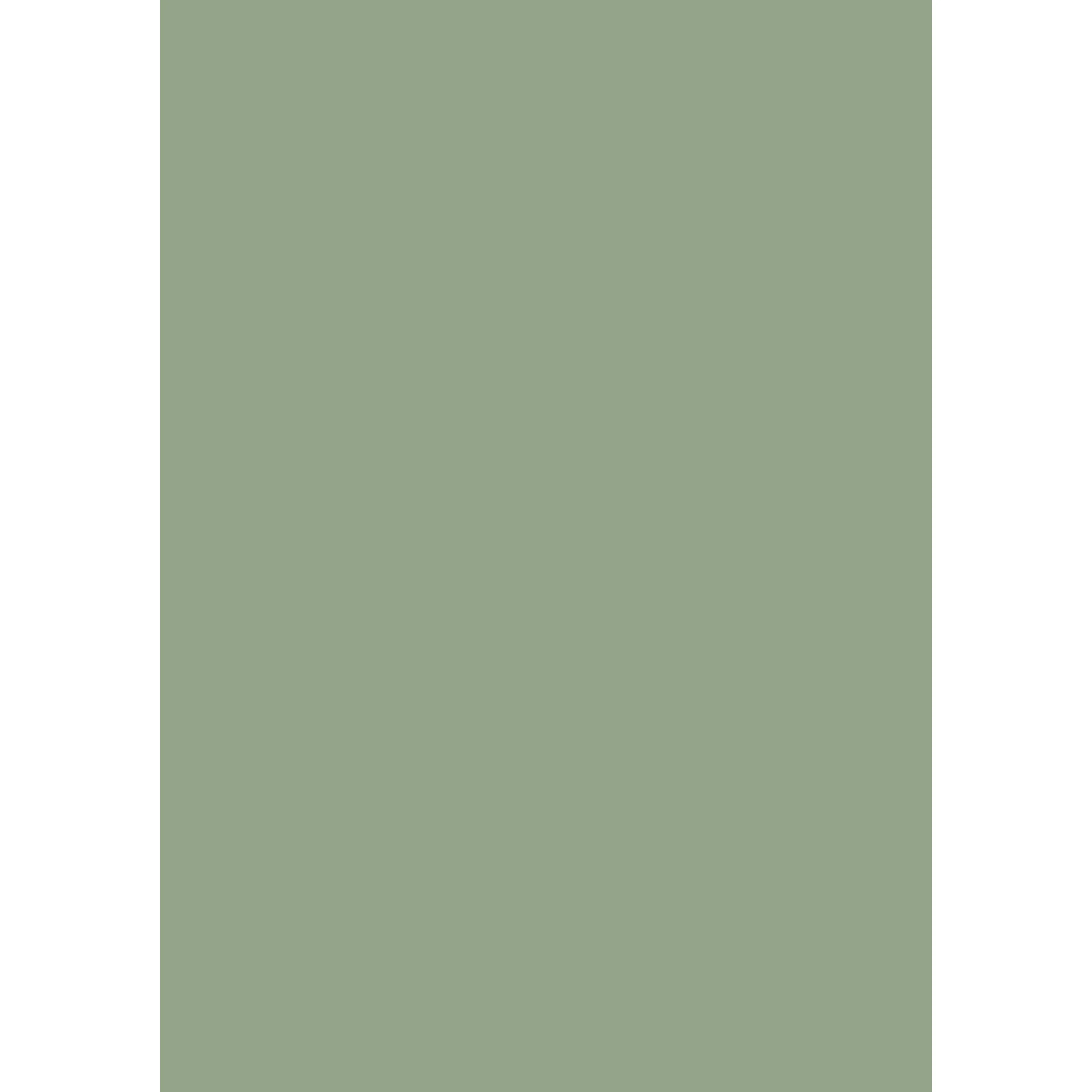 Breakfast Room Green No. 81 peinture Farrow & Ball - Image 3