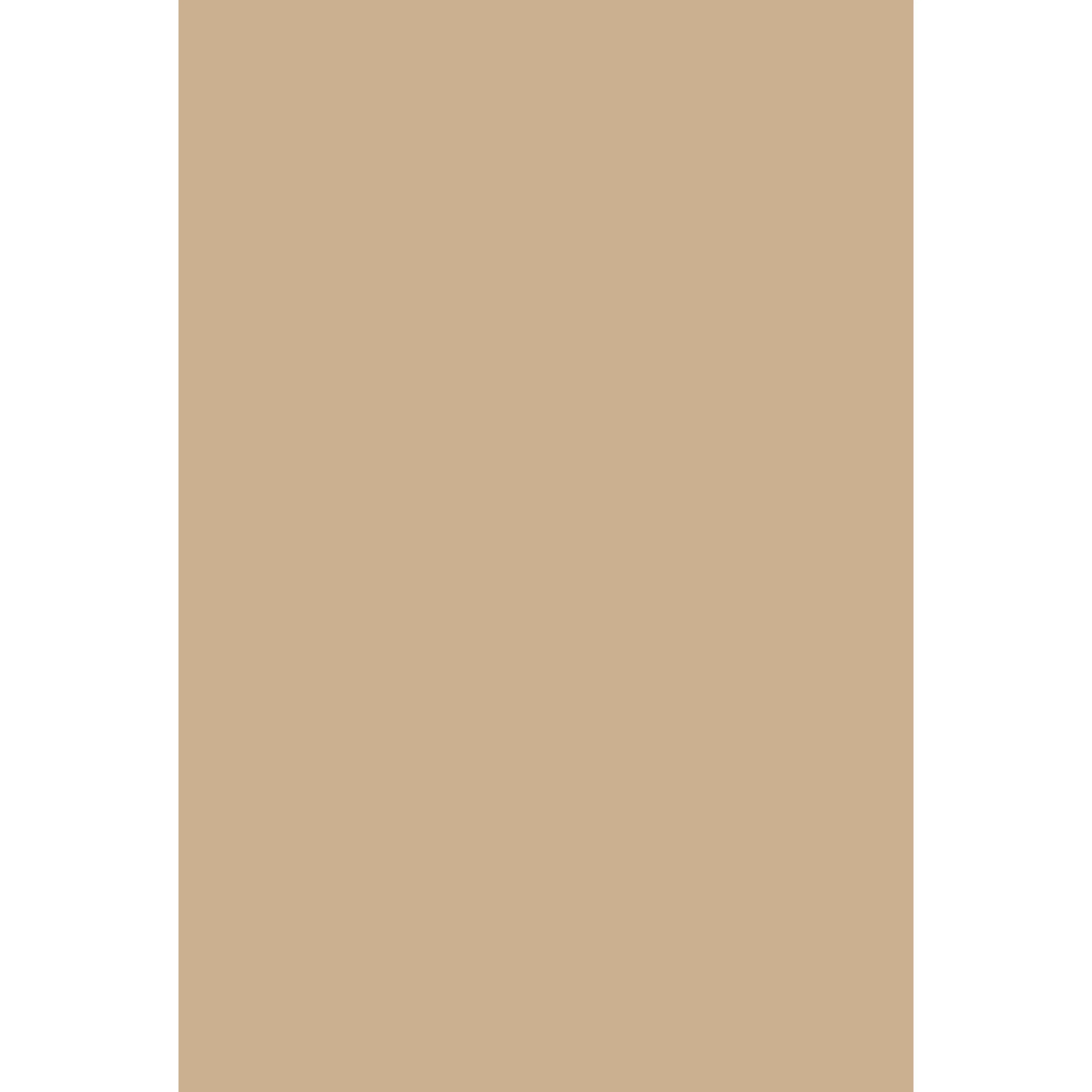 Buff No. 20 peinture Farrow & Ball - Image 2