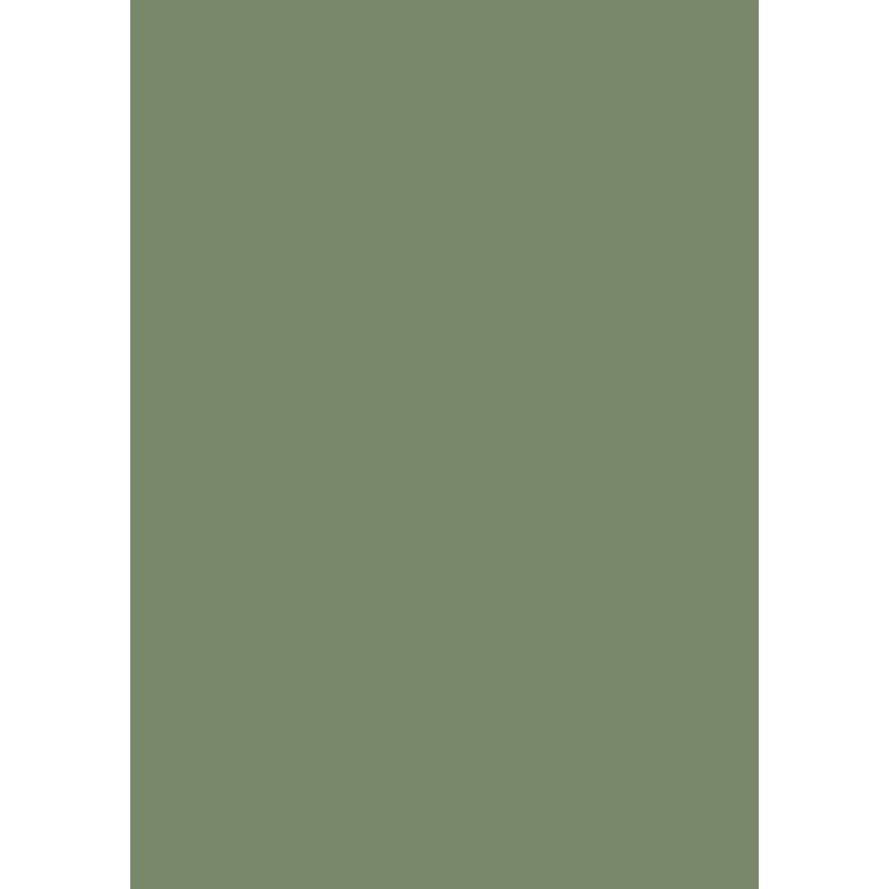 Calke Green No. 34 peinture Farrow & Ball - Image 3