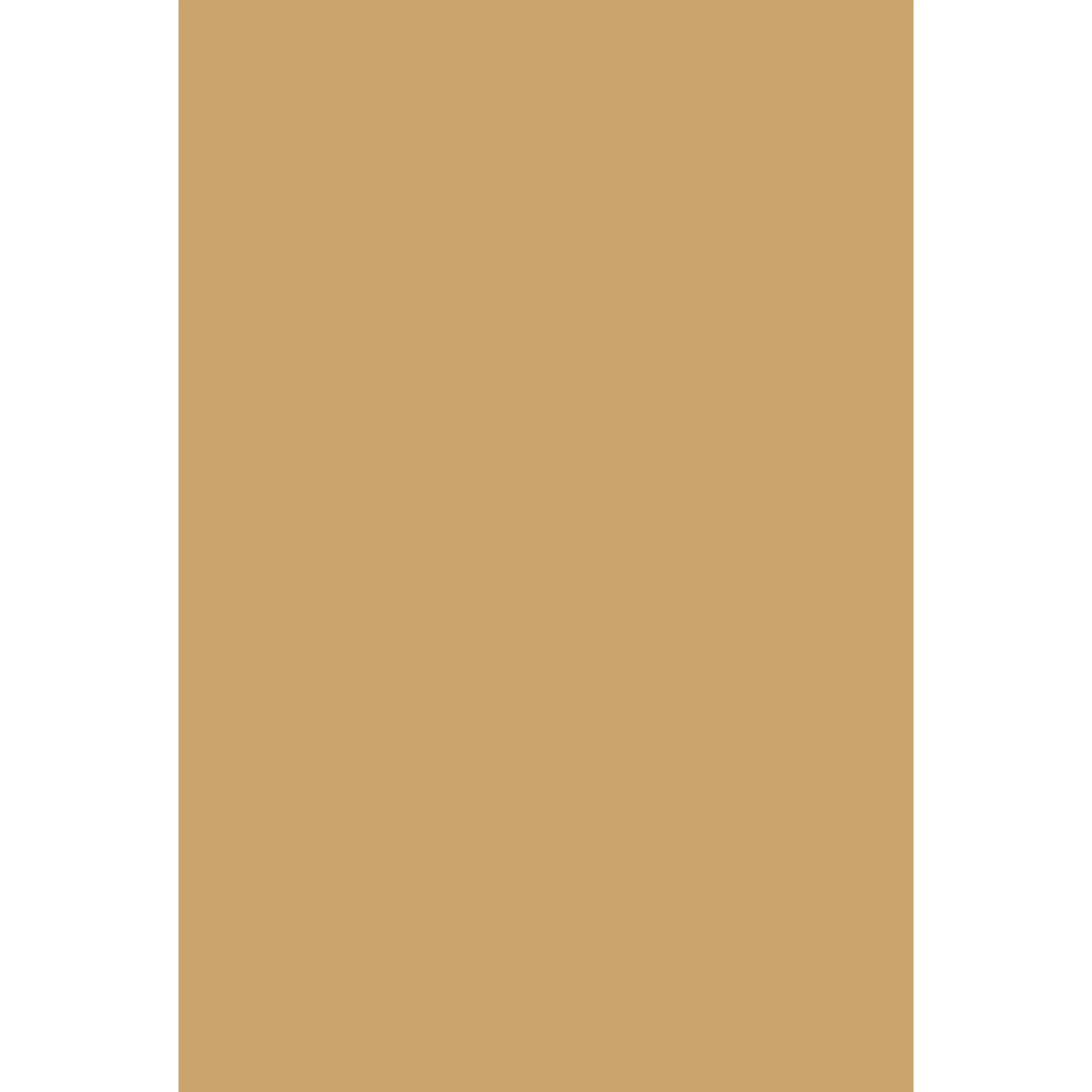 Cane No. 53 peinture Farrow & Ball - Image 3