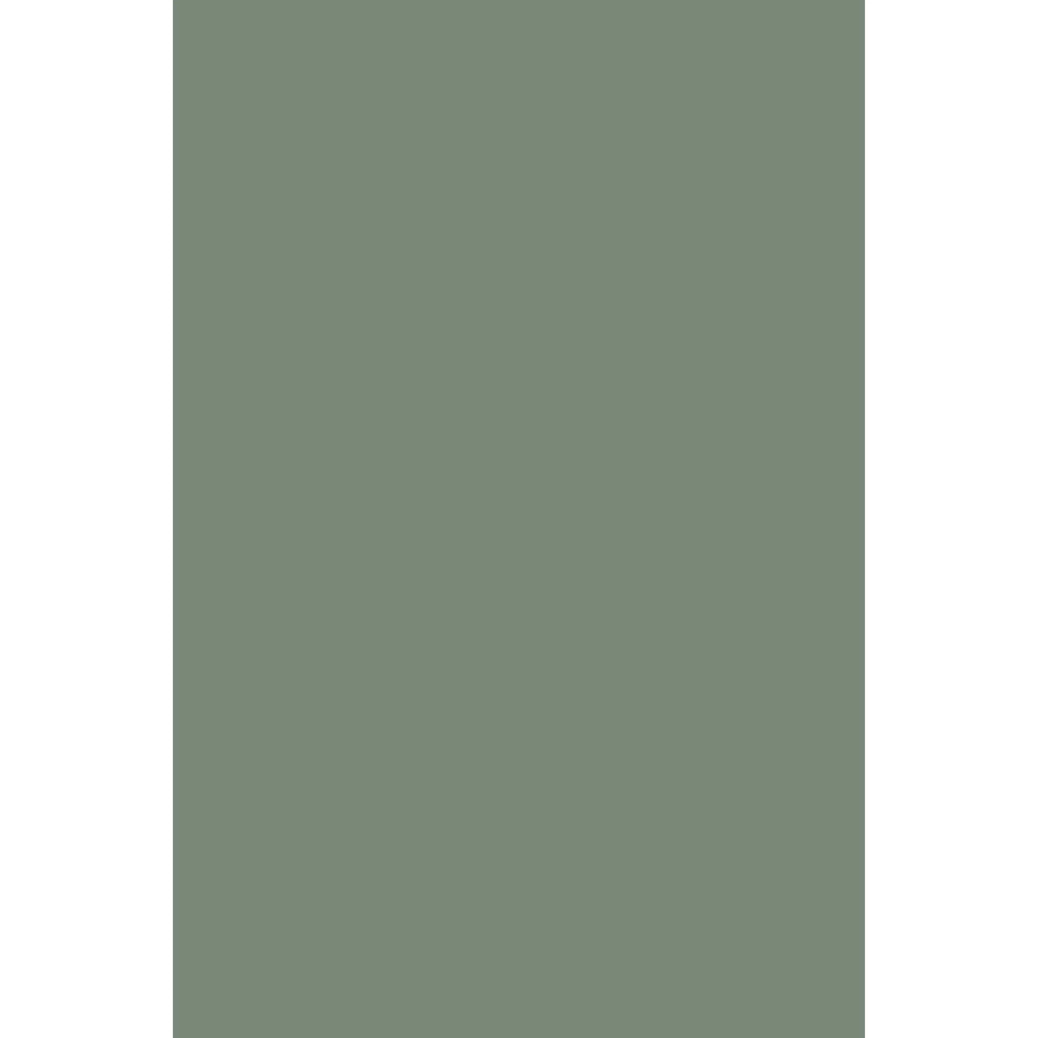 Castle Gray No. 92 peinture Farrow & Ball - Image 3