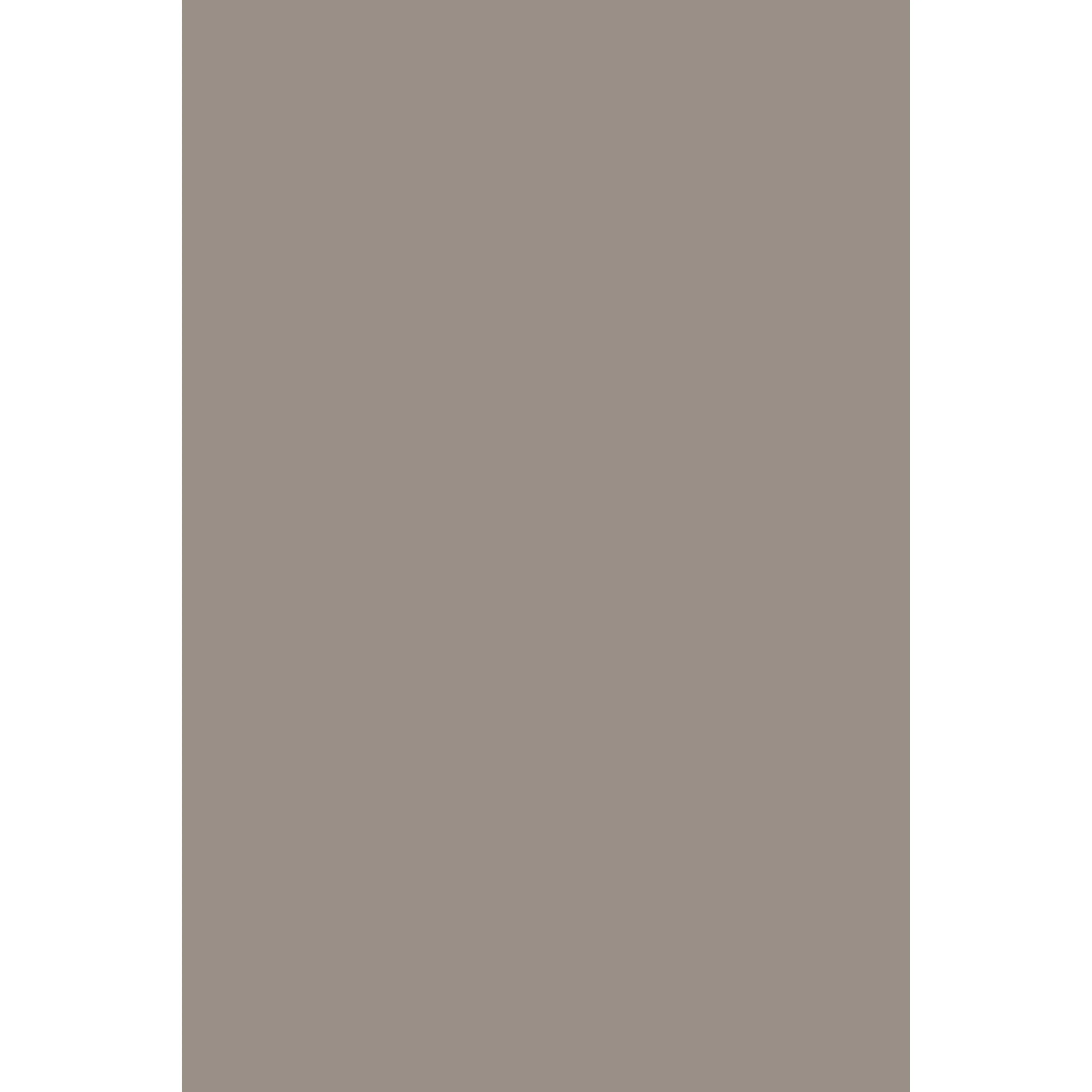 Chemise No. 216 peinture Farrow & Ball - Image 3