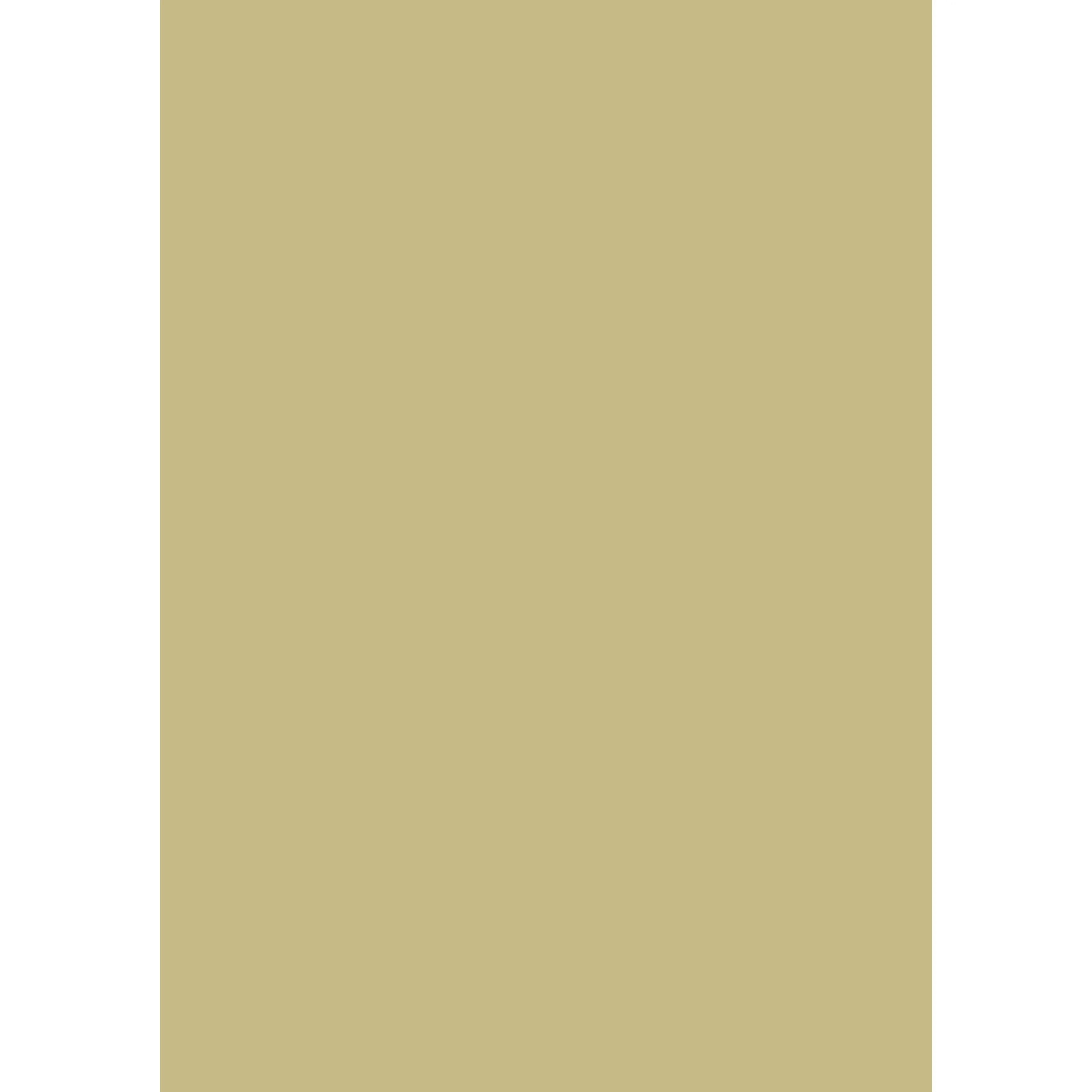 Churlish Green No. 251 peinture Farrow & Ball - Image 3