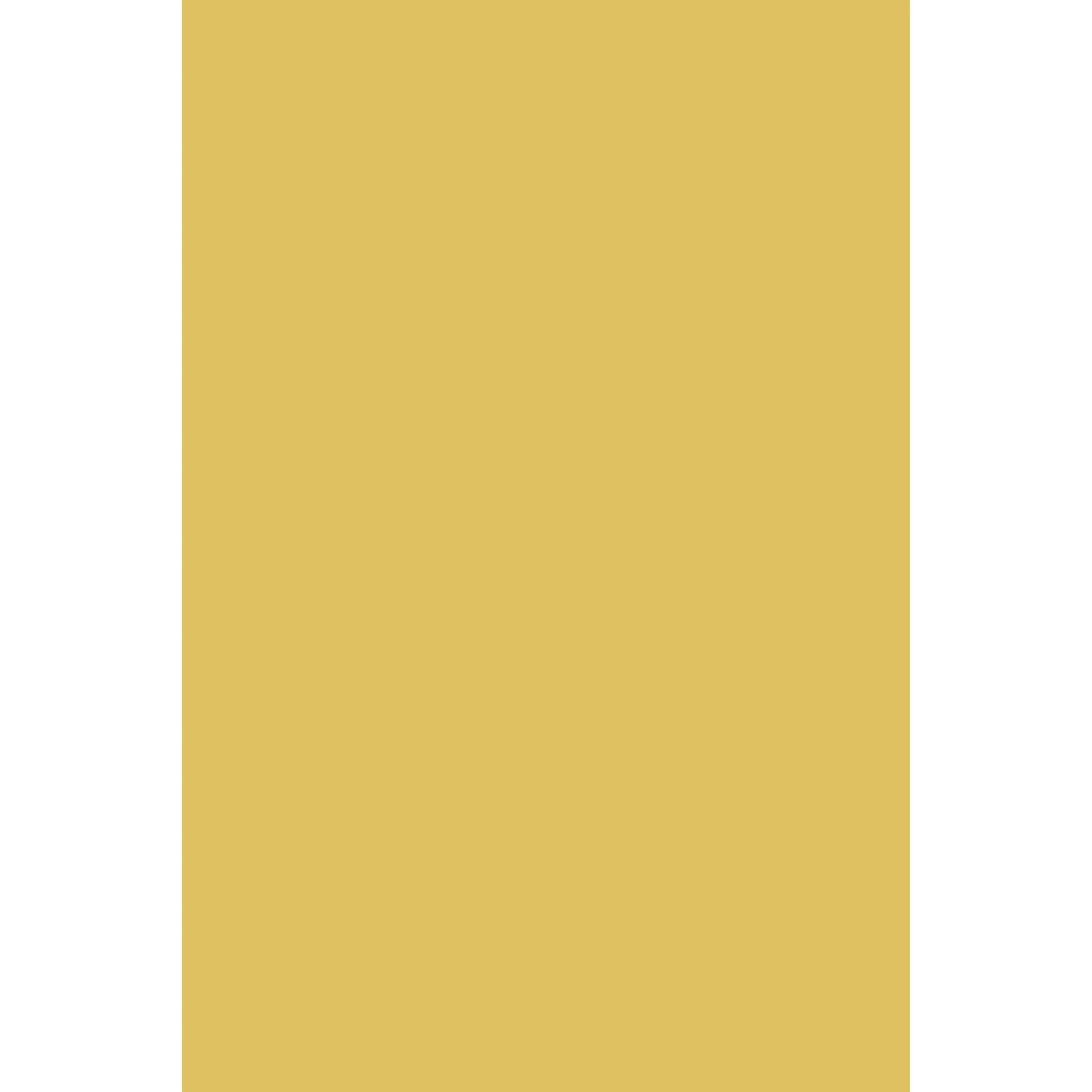 Ciara Yellow No. 73 peinture Farrow & Ball - Image 3