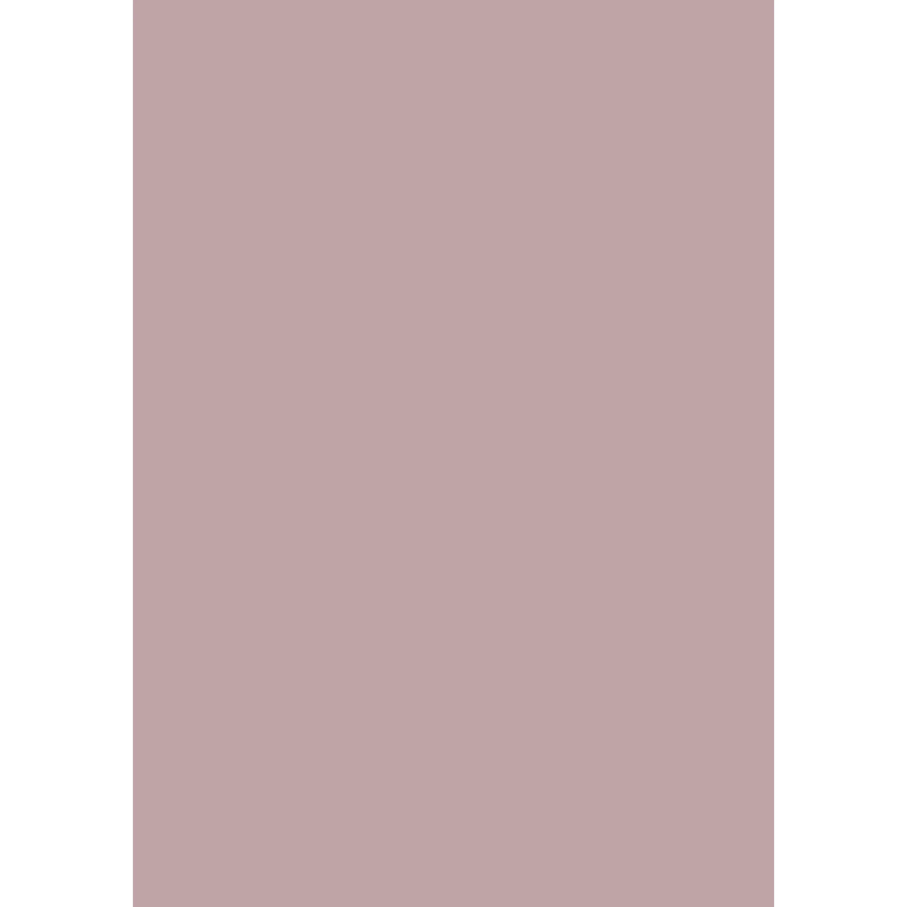 Cinder Rose No. 246 peinture Farrow & Ball - Image 3
