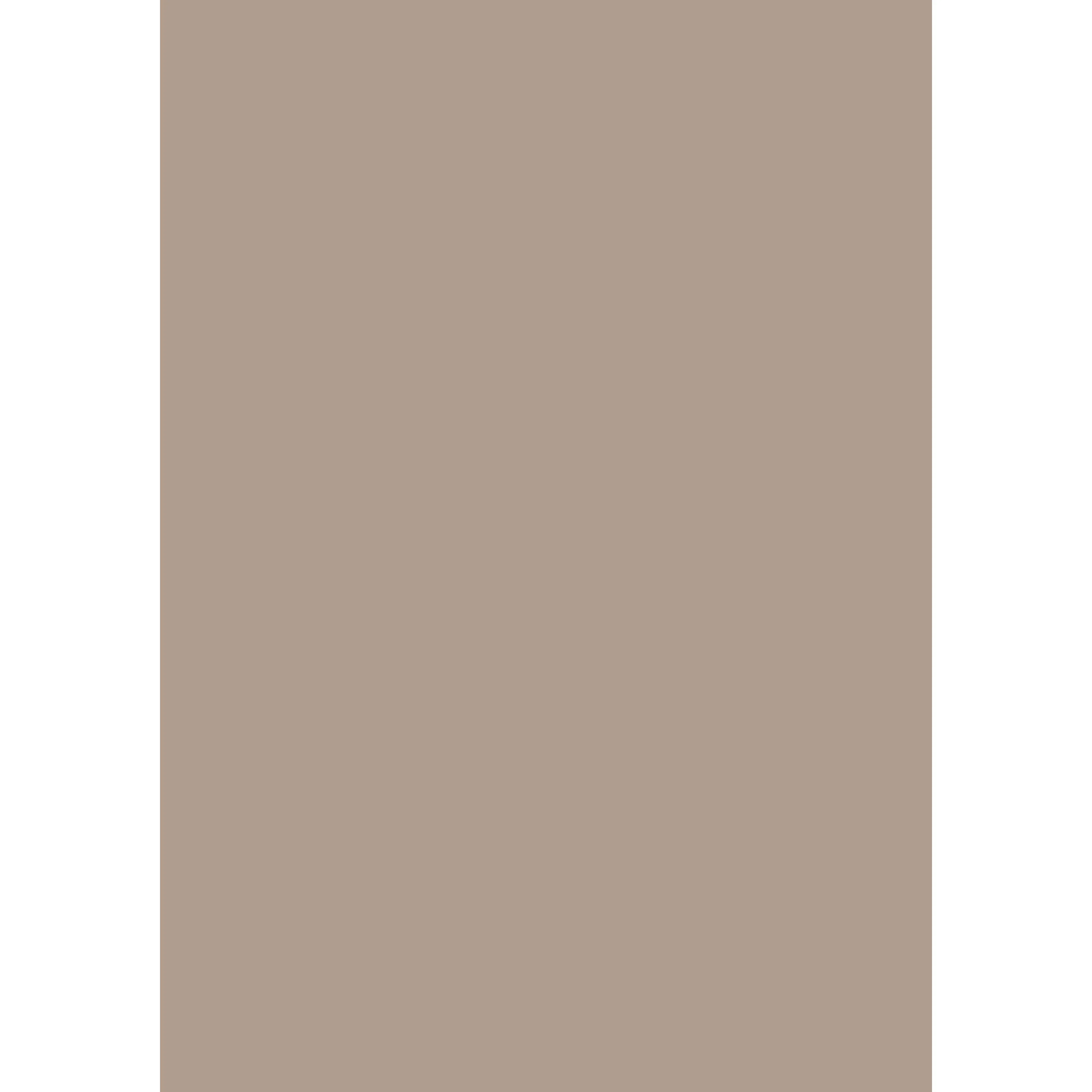 Dead Salmon No. 28 peinture Farrow & Ball - Image 3