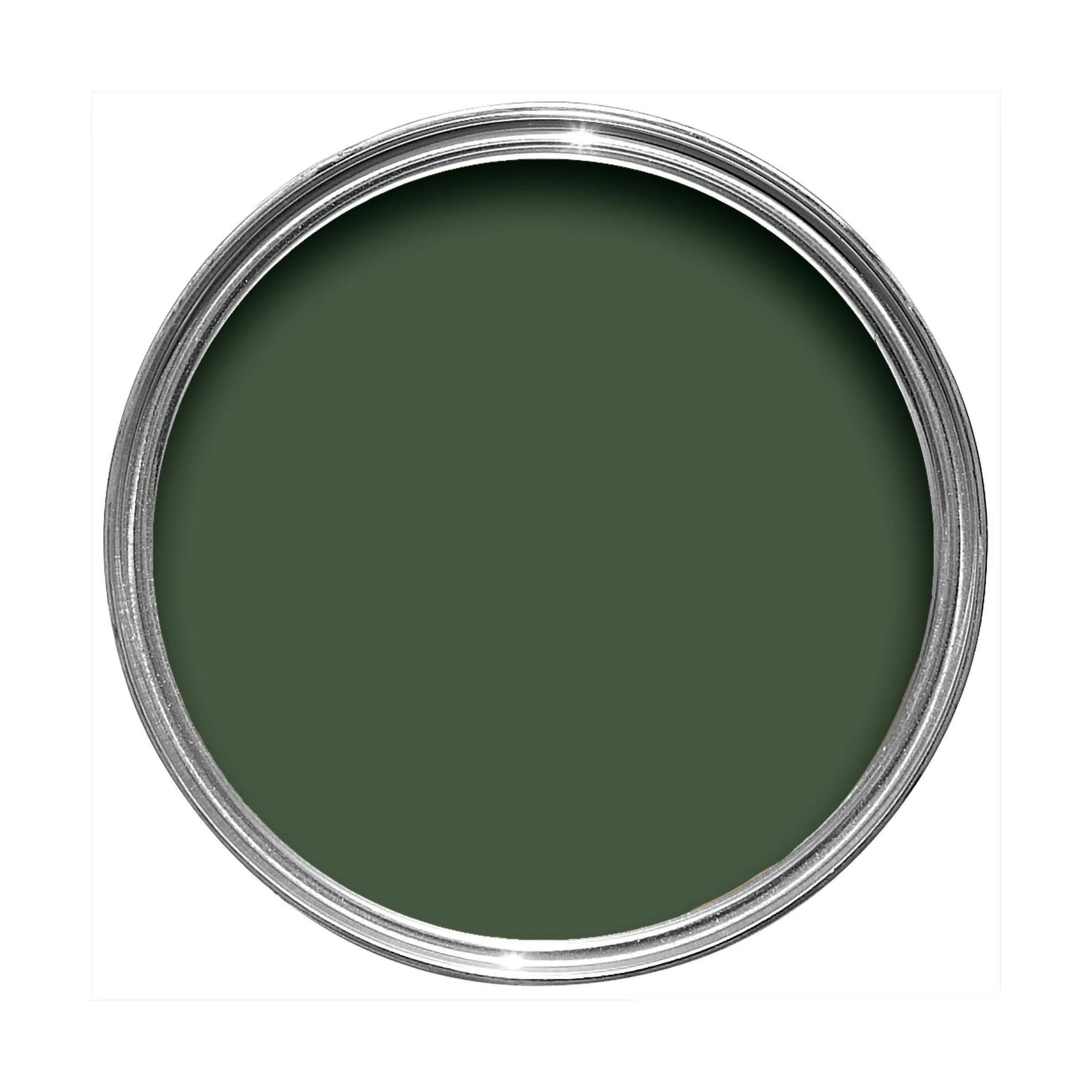 Duck Green No. W55 peinture Farrow & Ball