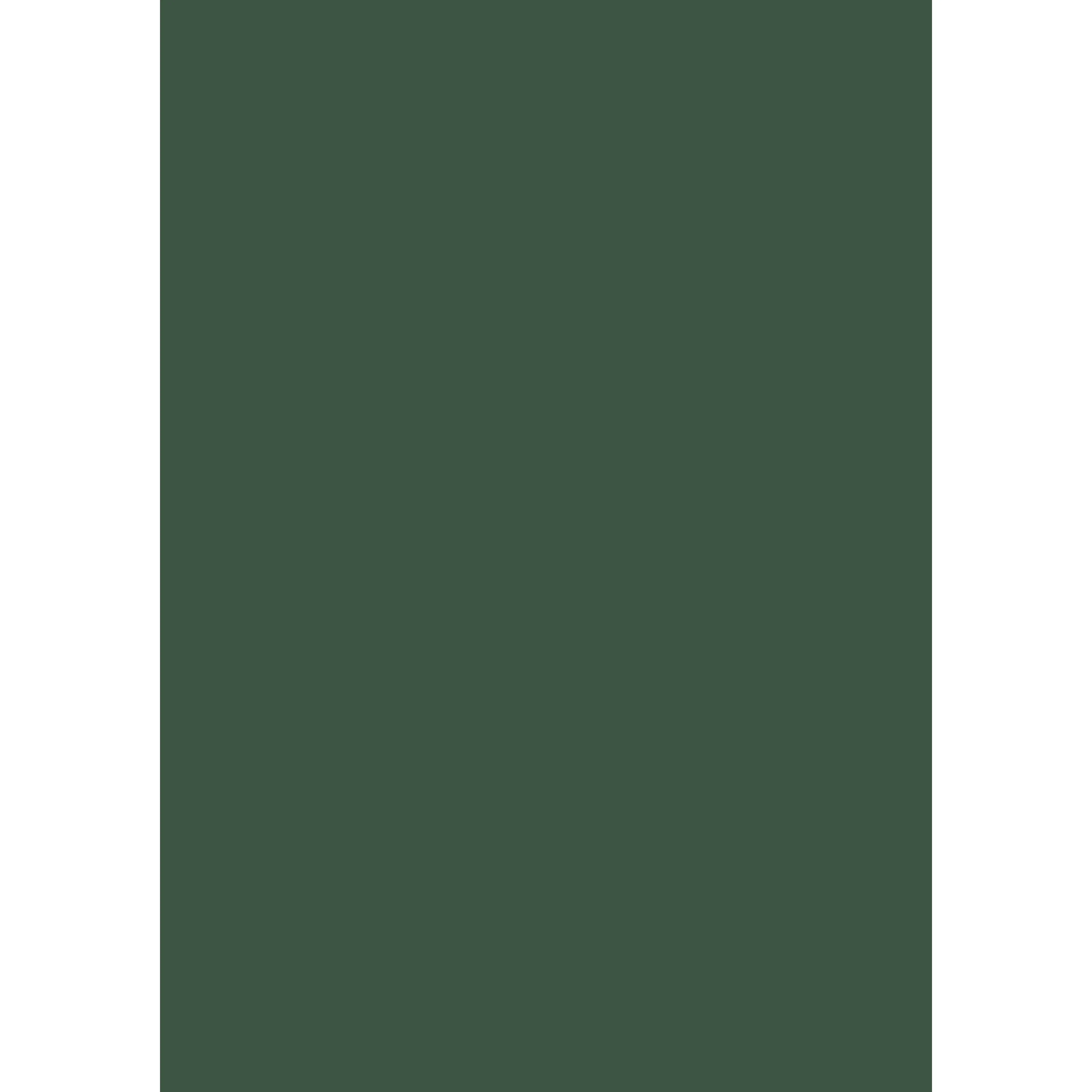Duck Green No. W55 peinture Farrow & Ball - Image 3