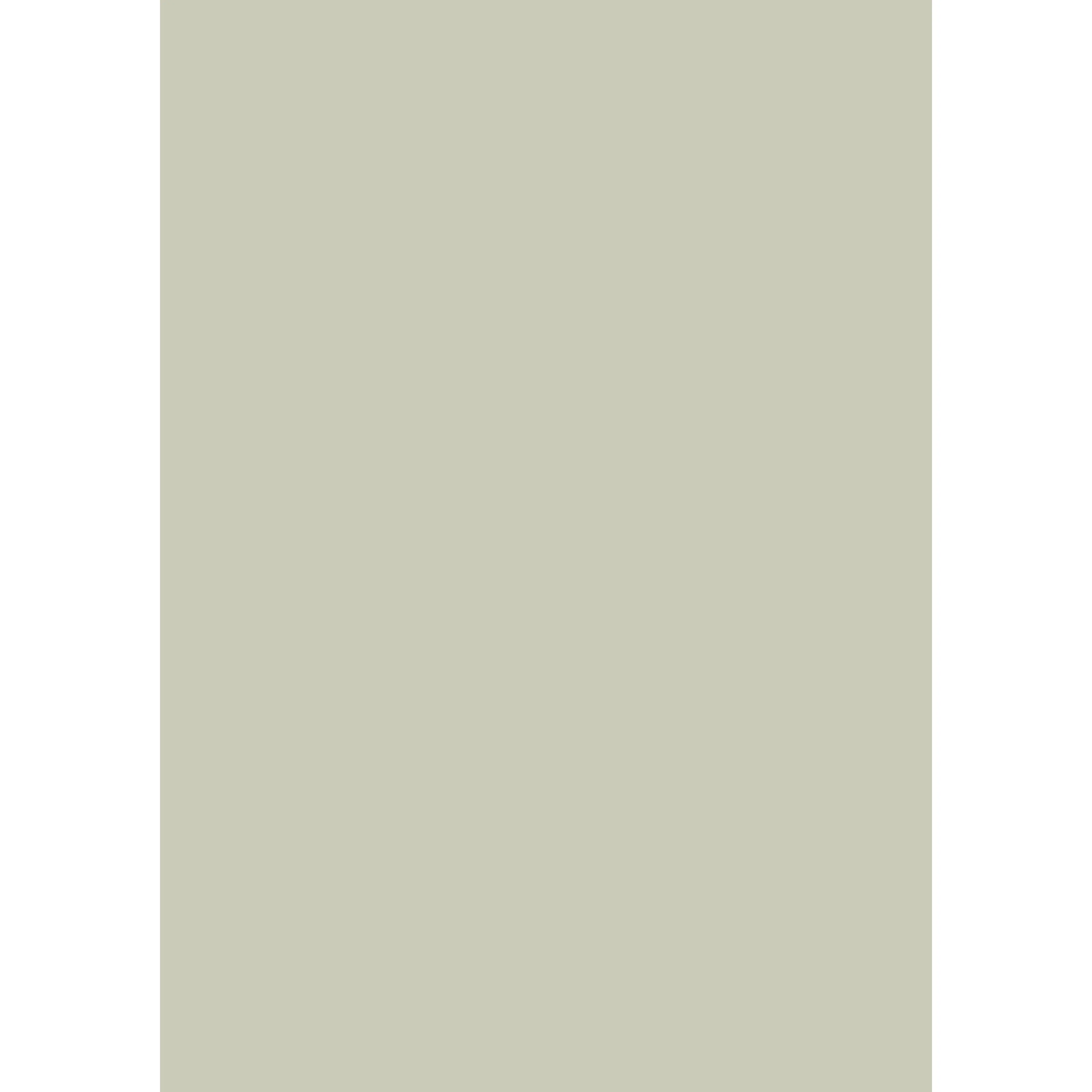 Eddy No. 301 peinture Farrow & Ball - Image 3