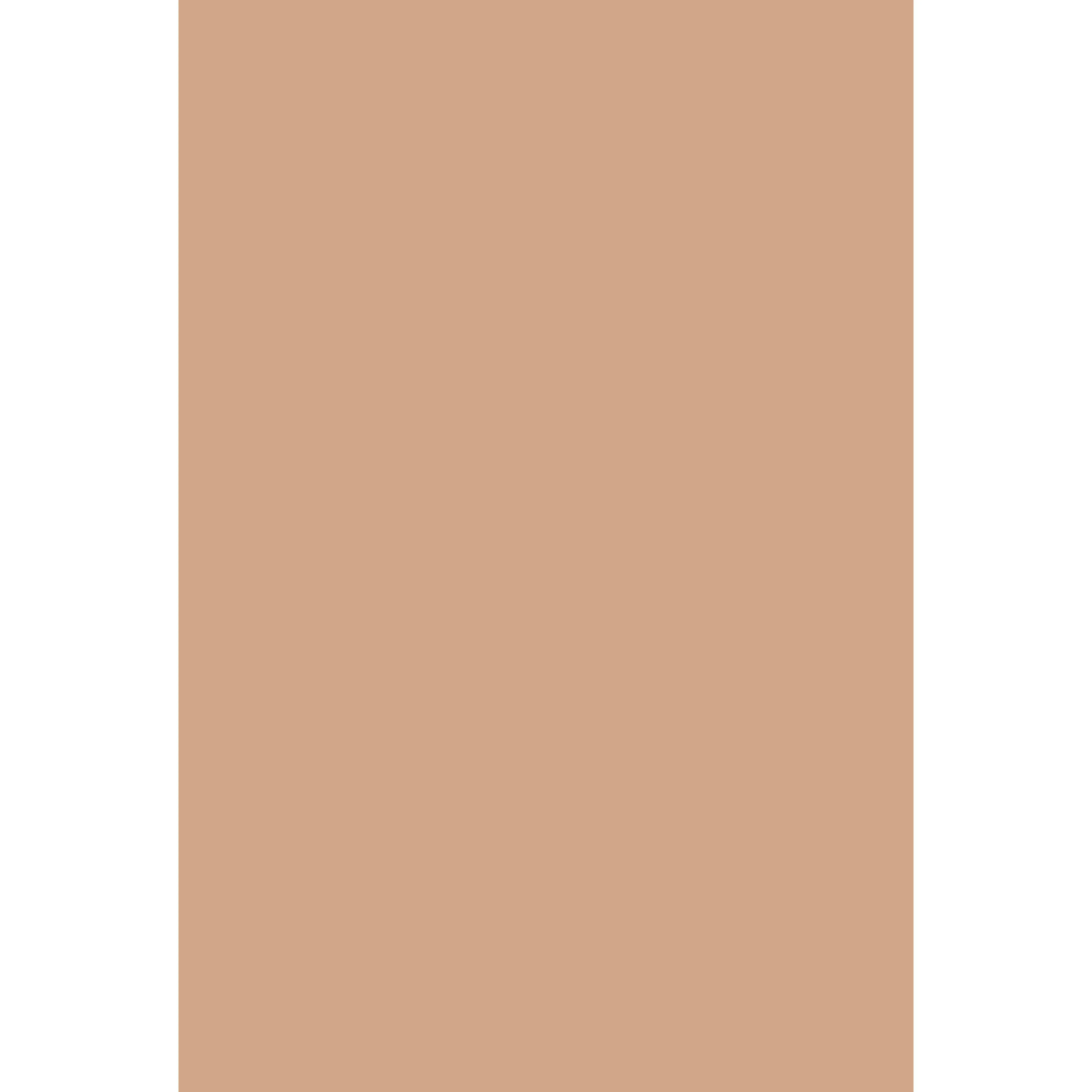 Fake Tan No. 9912 peinture Farrow & Ball - Image 2