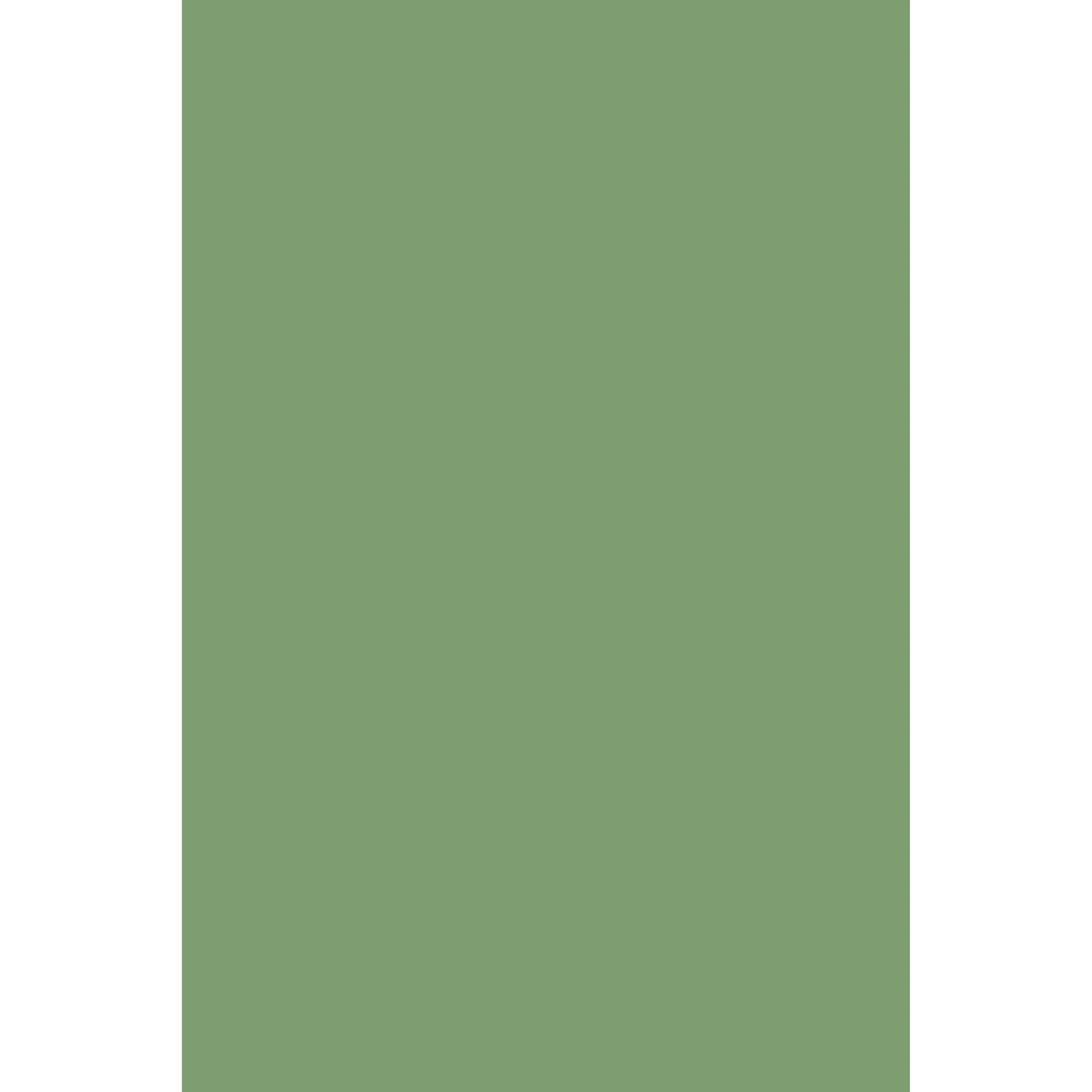 Folly Green No. 76 peinture Farrow & Ball - Image 3