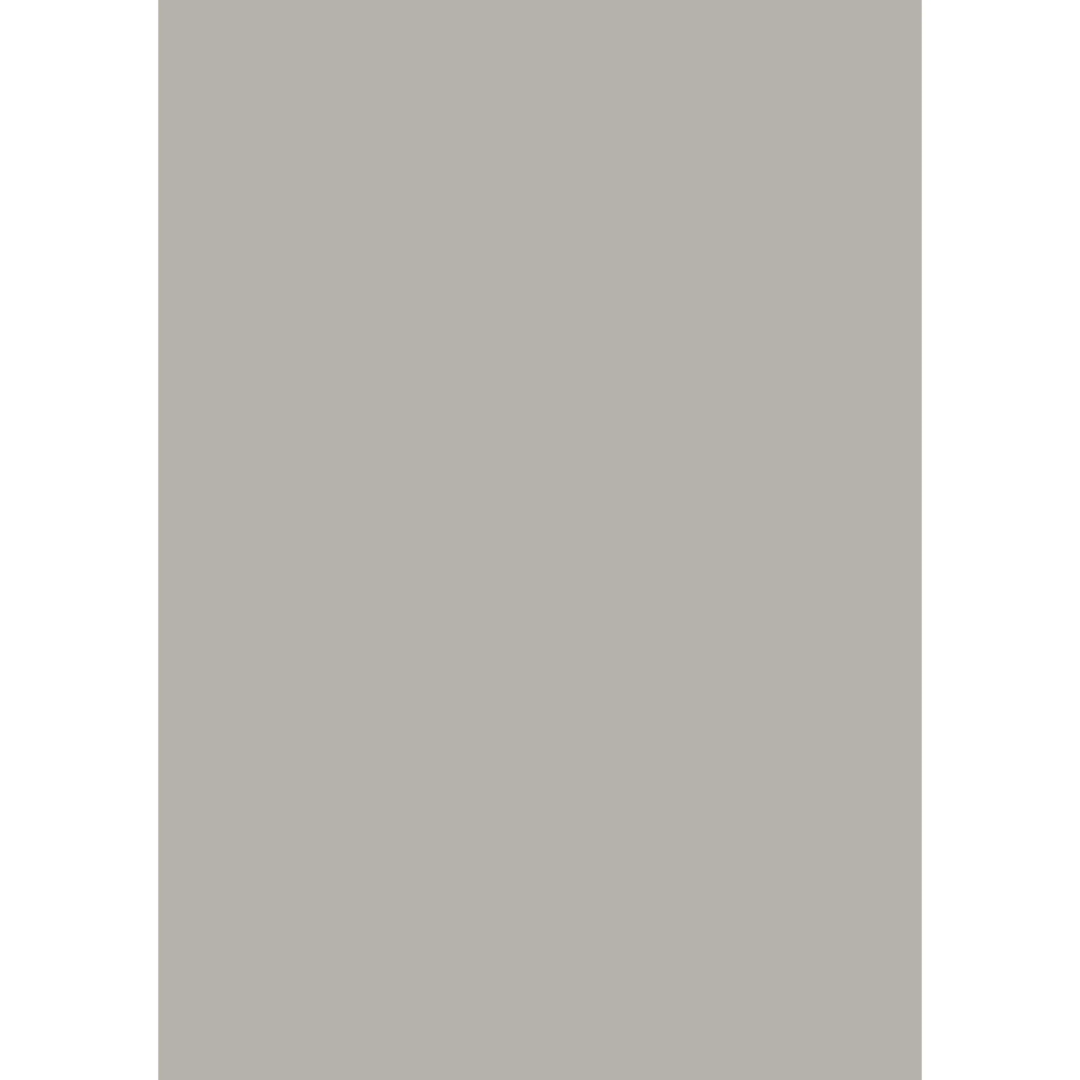 Lamp Room Gray No. 88 peinture Farrow & Ball - Image 3