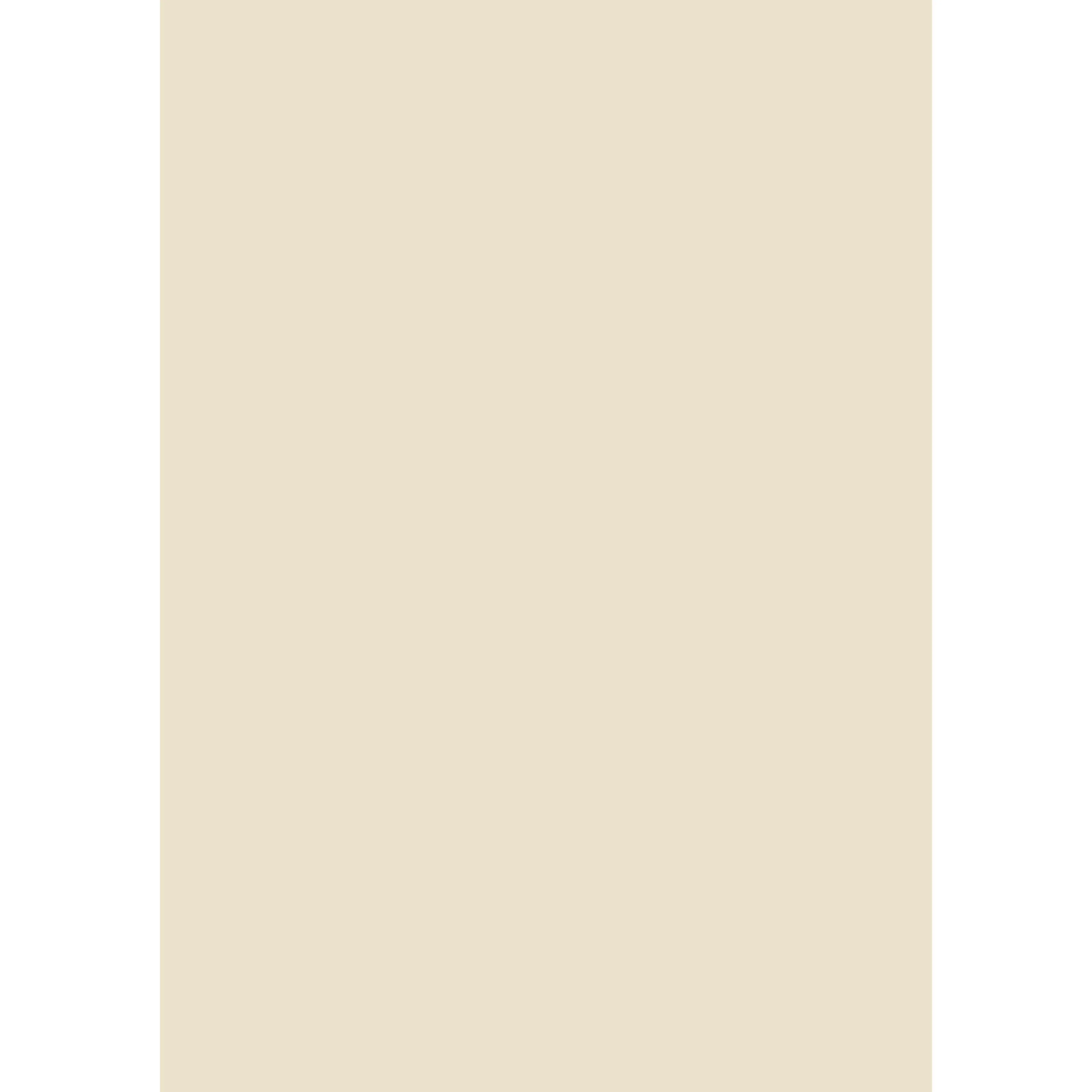 Lime White No. 1 peinture Farrow & Ball - Image 3