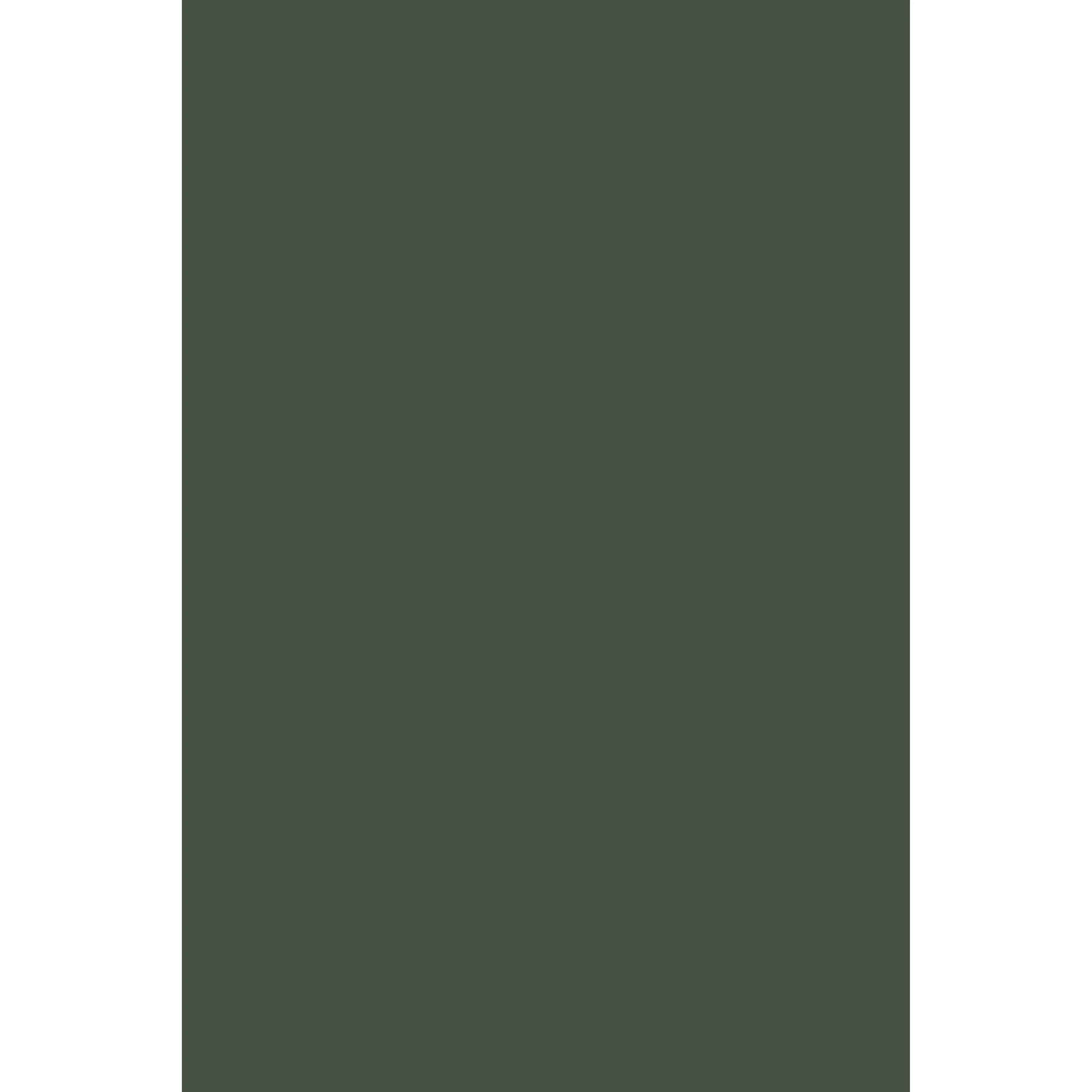 Minster Green No. 224 peinture Farrow & Ball - Image 3