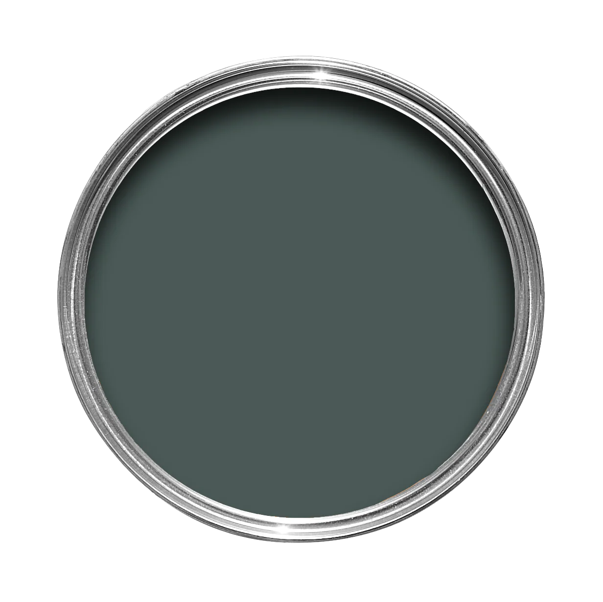 Monkey Puzzle No. 238 peinture Farrow & Ball