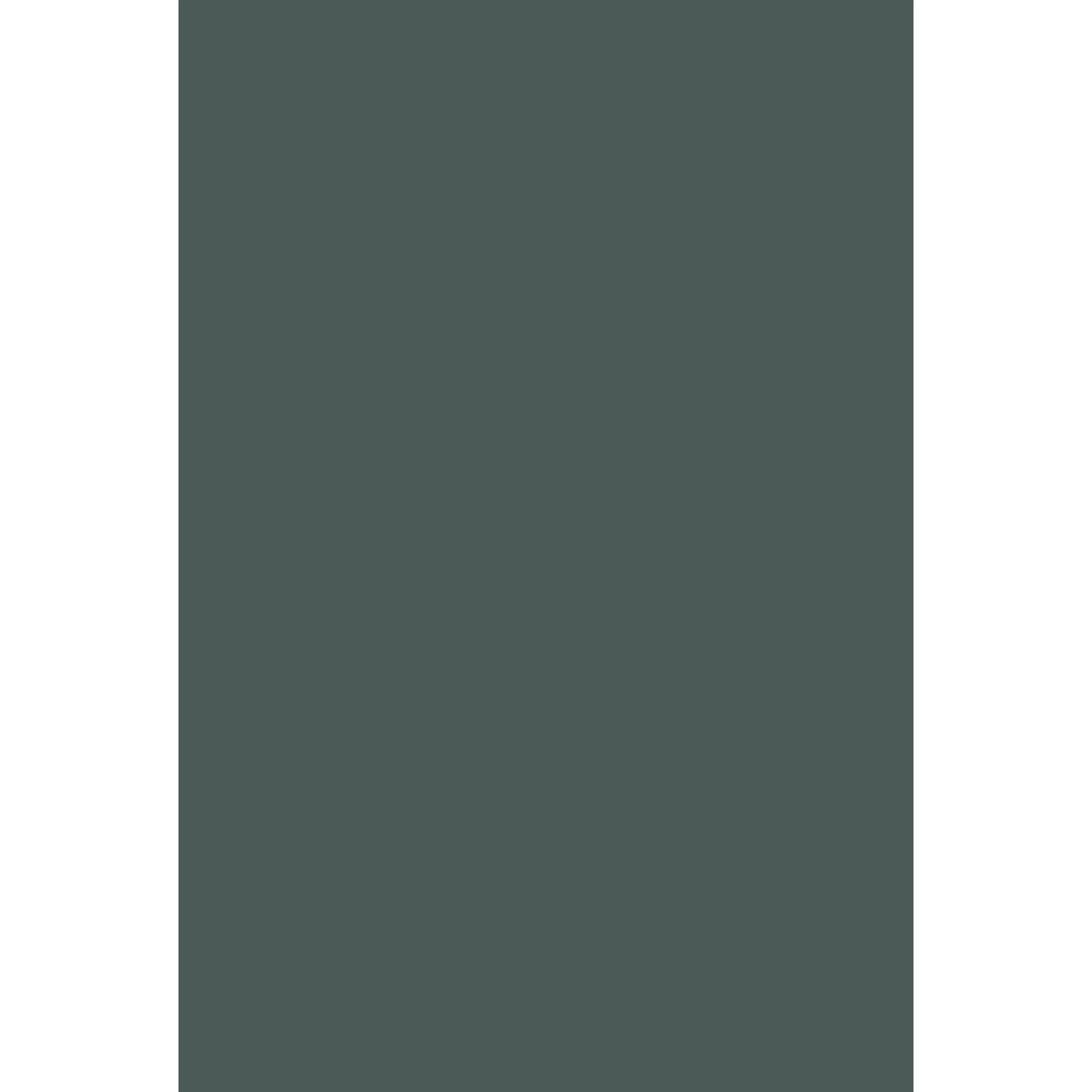 Monkey Puzzle No. 238 peinture Farrow & Ball - Image 2