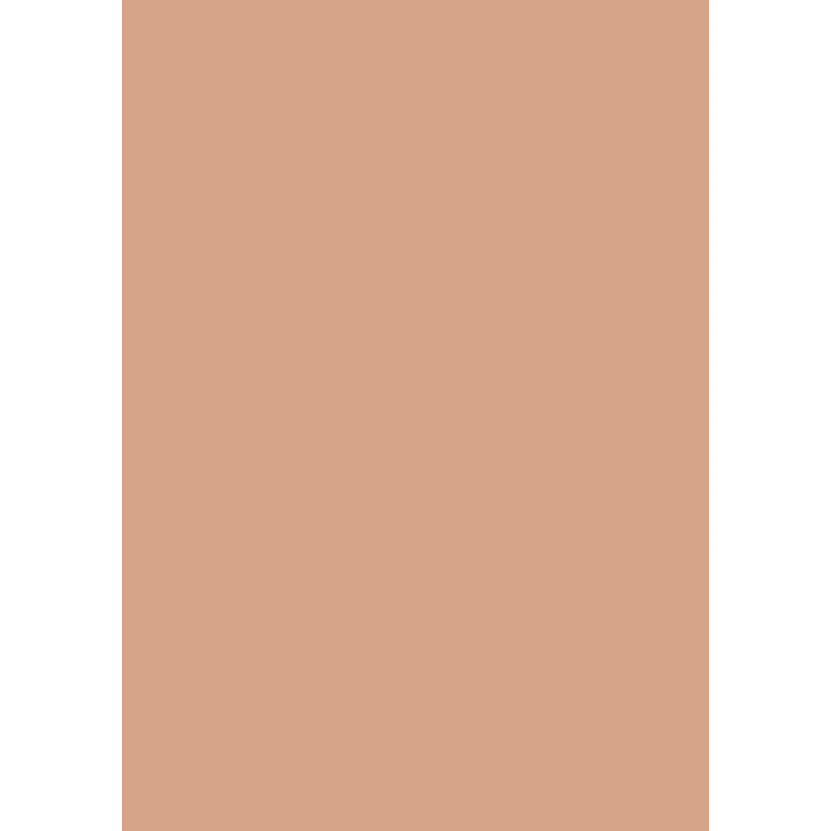 Naperon No. 315 peinture Farrow & Ball - Image 3