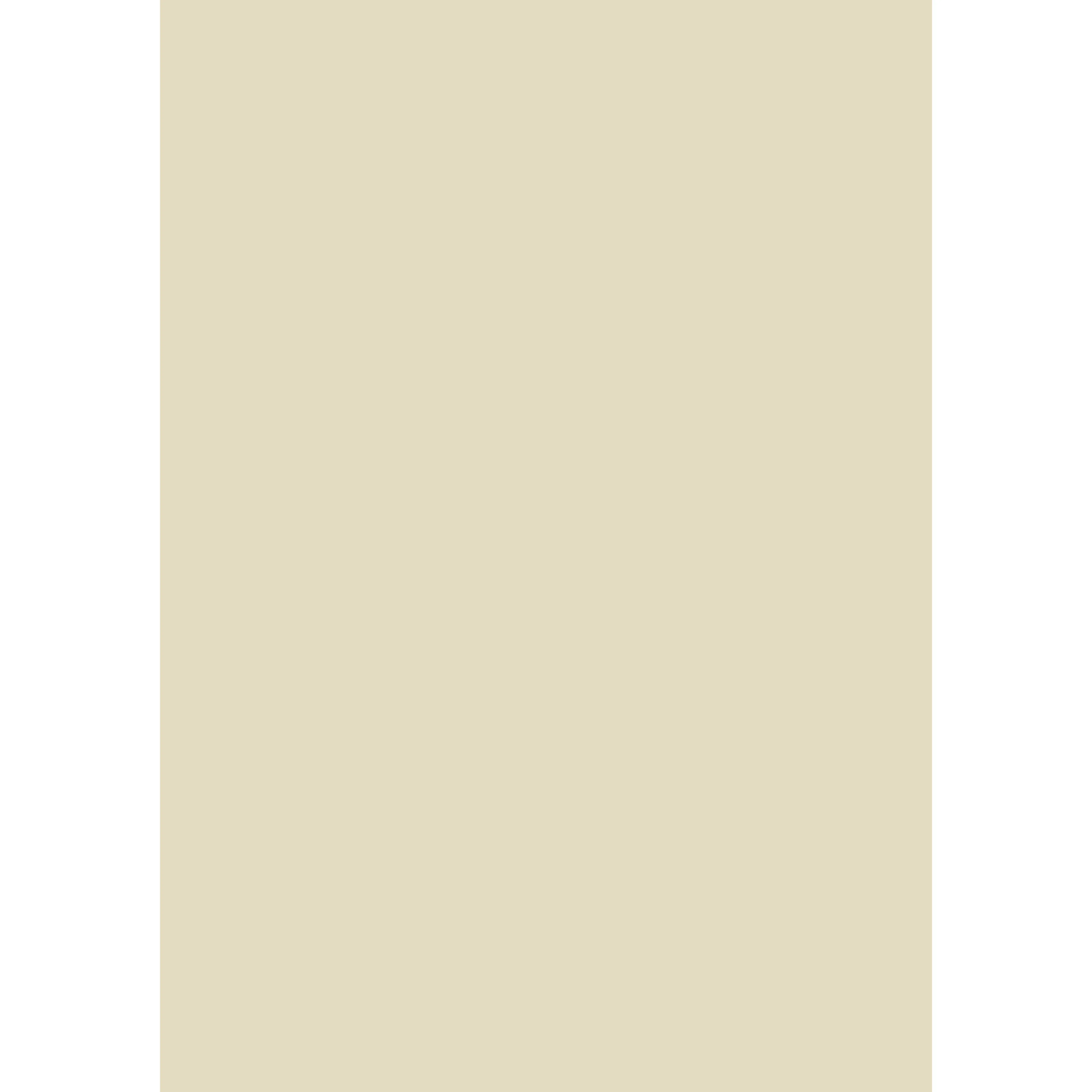 Off-White No. 3 peinture Farrow & Ball - Image 3