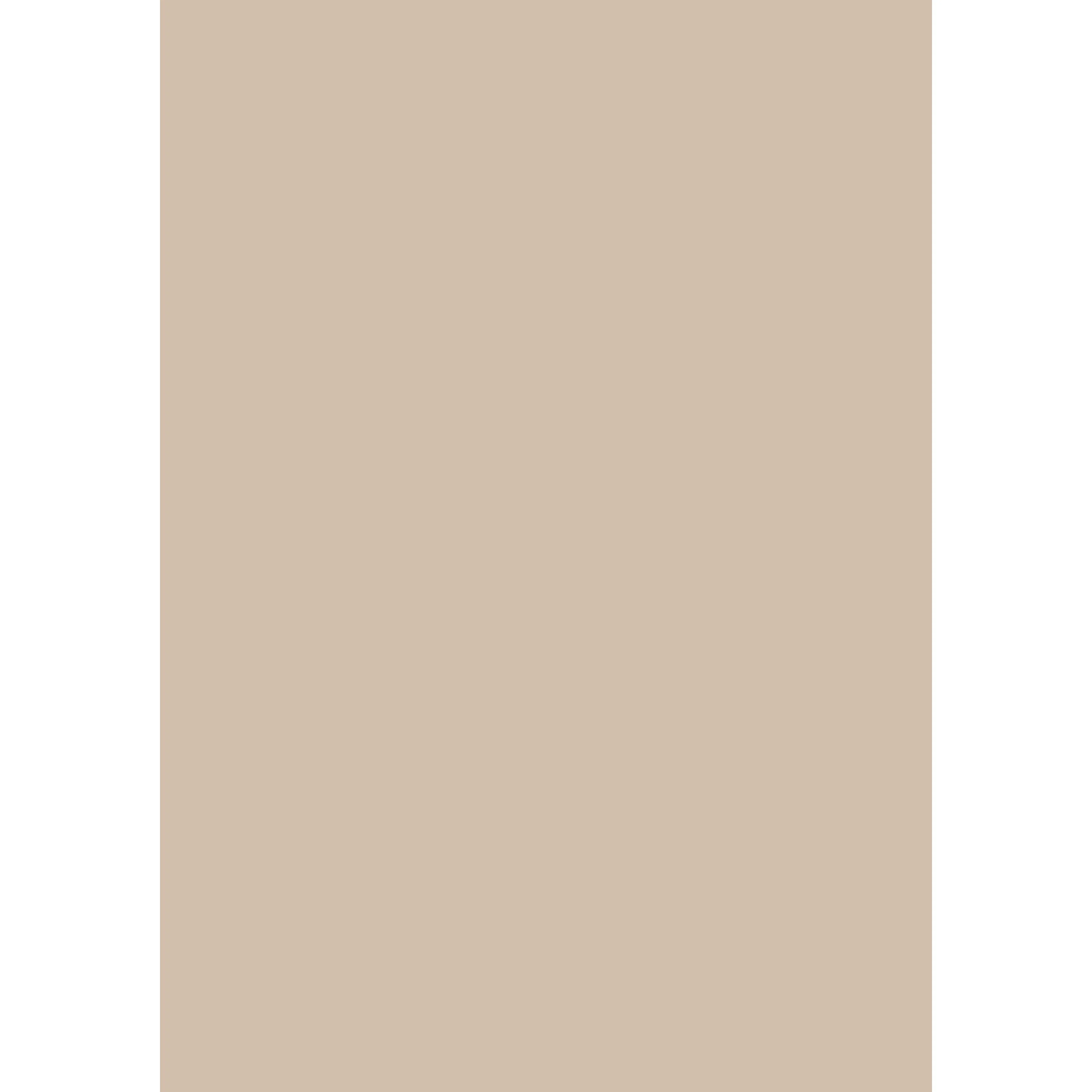Oxford Stone No. 264 peinture Farrow & Ball - Image 3