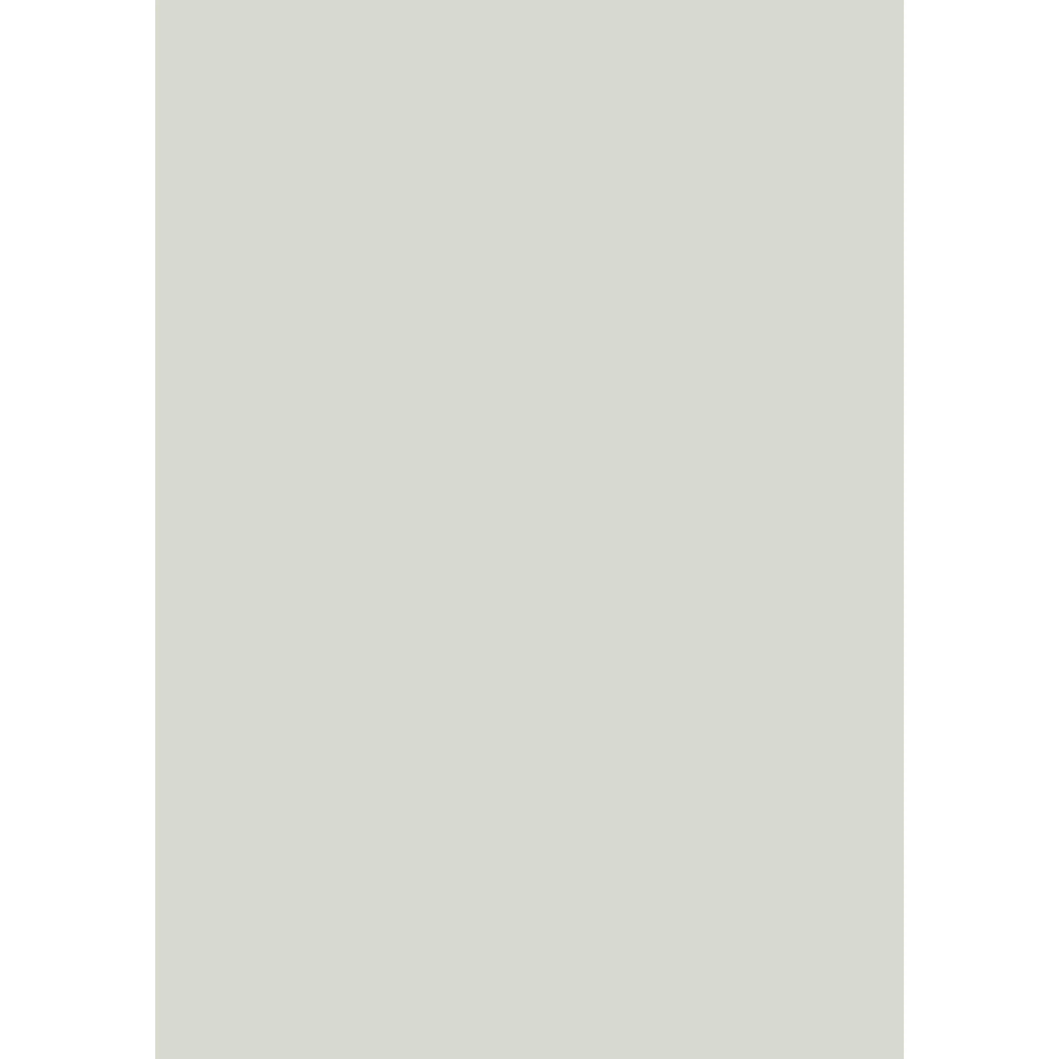 Pale Powder No. 204 peinture Farrow & Ball - Image 3