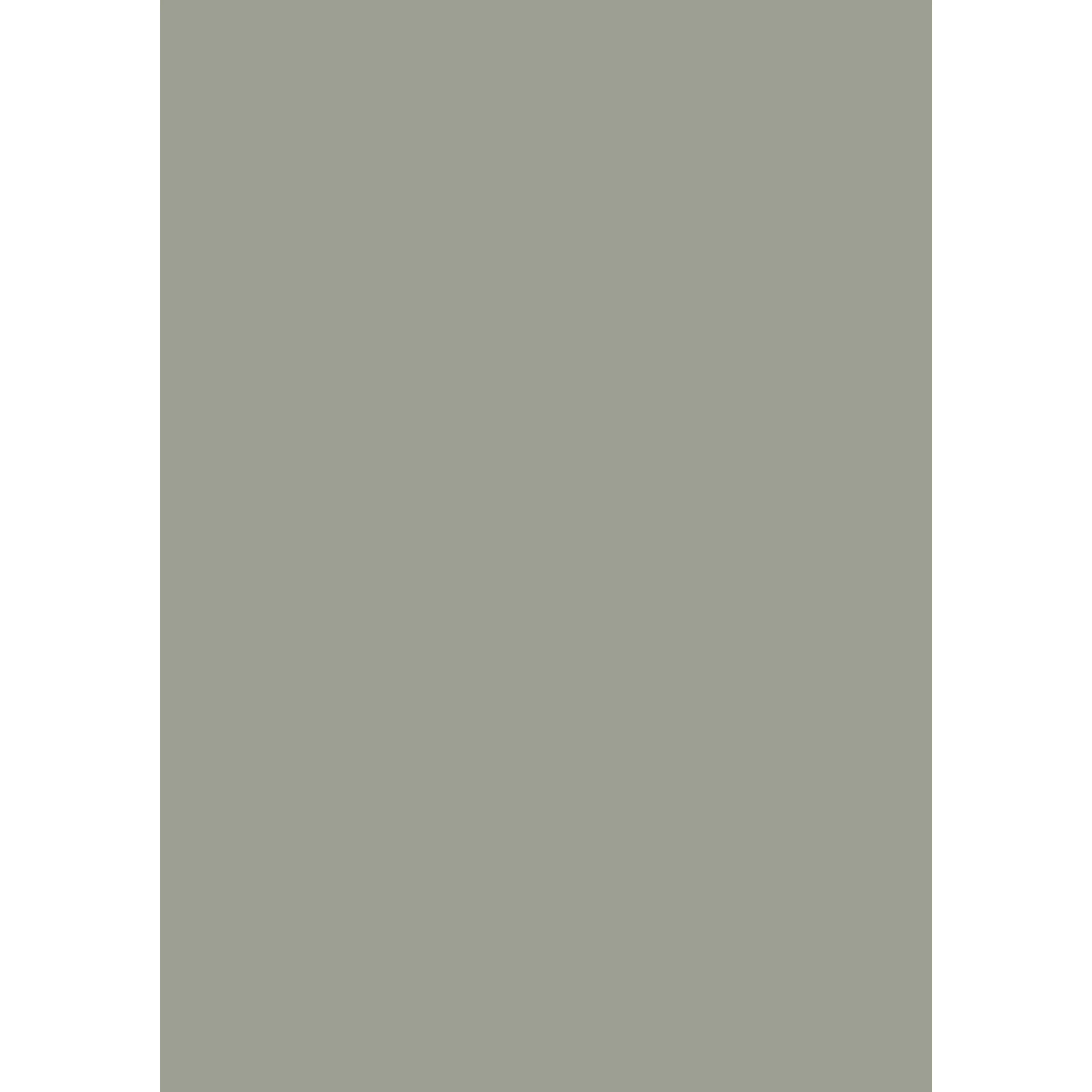 Pigeon No. 25 peinture Farrow & Ball - Image 3