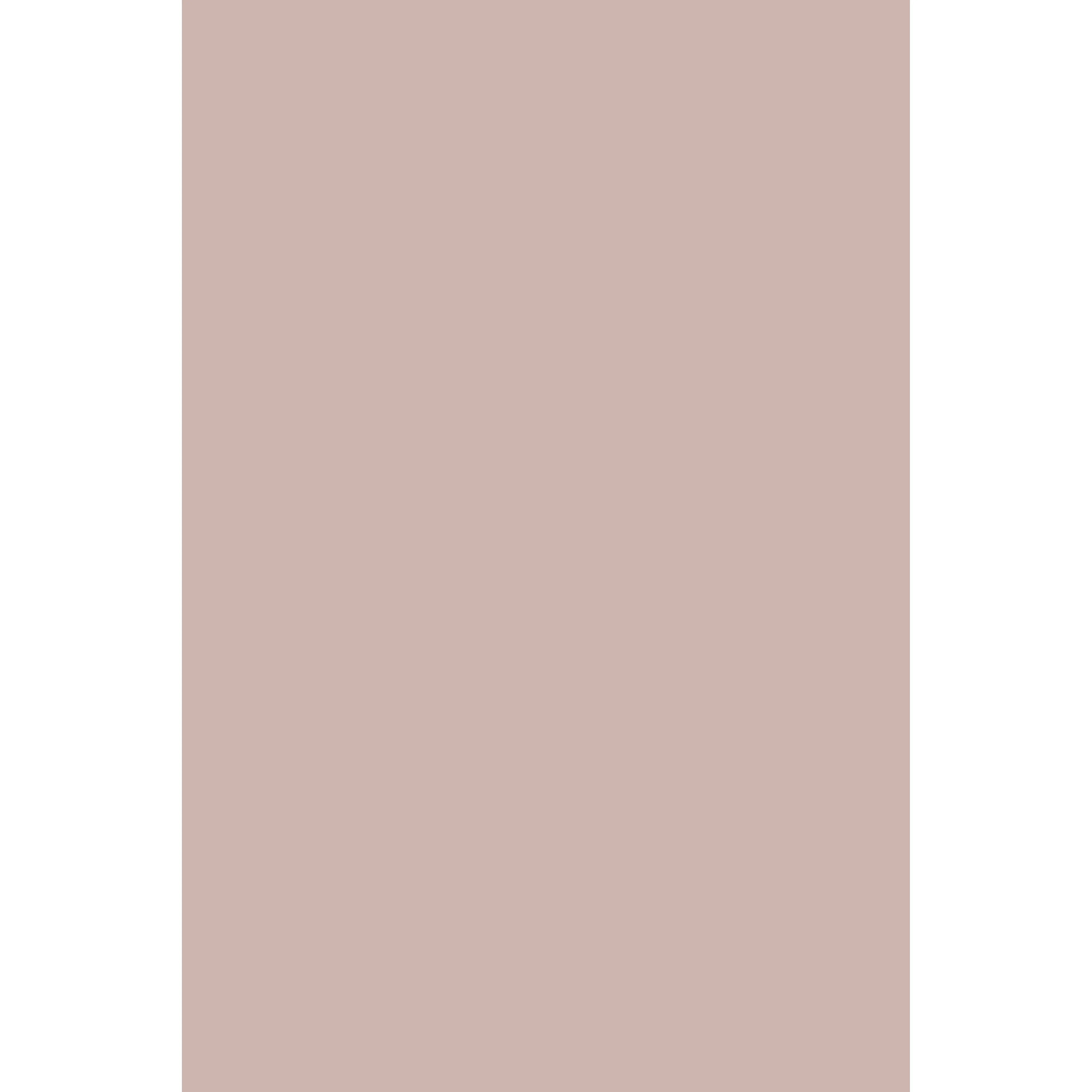 Pink Drab No. 207 peinture Farrow & Ball - Image 2