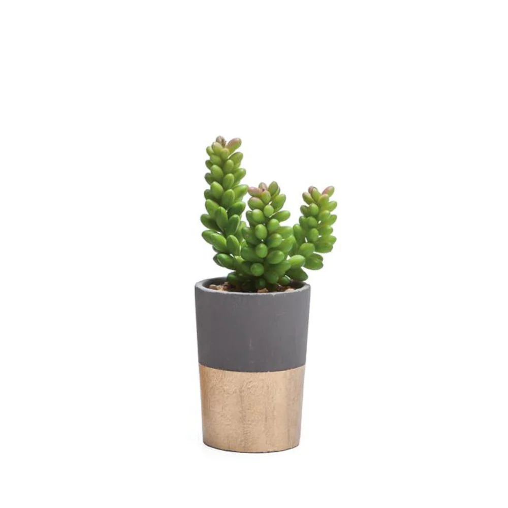 Plante artificielle en pot ciment et or 2'' D X 3'' H
