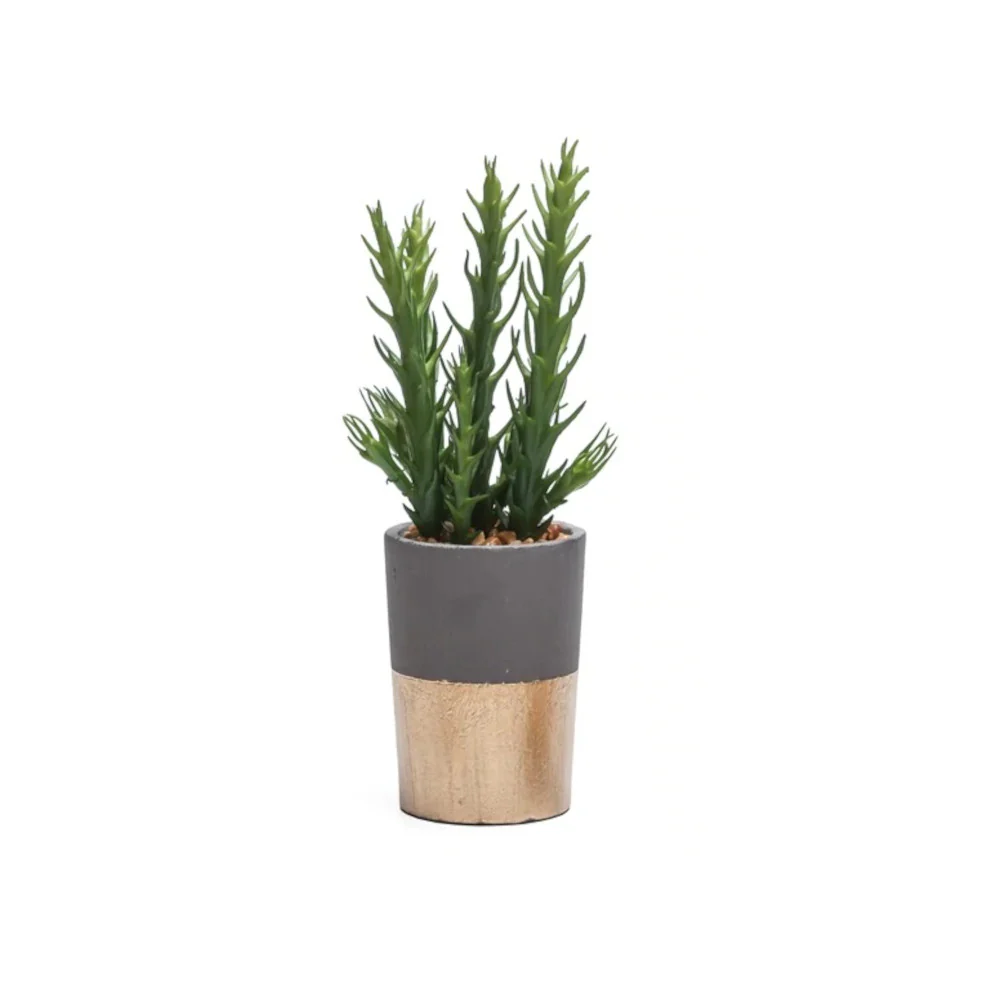 Plante artificielle en pot ciment et or 2'' D X 3'' H