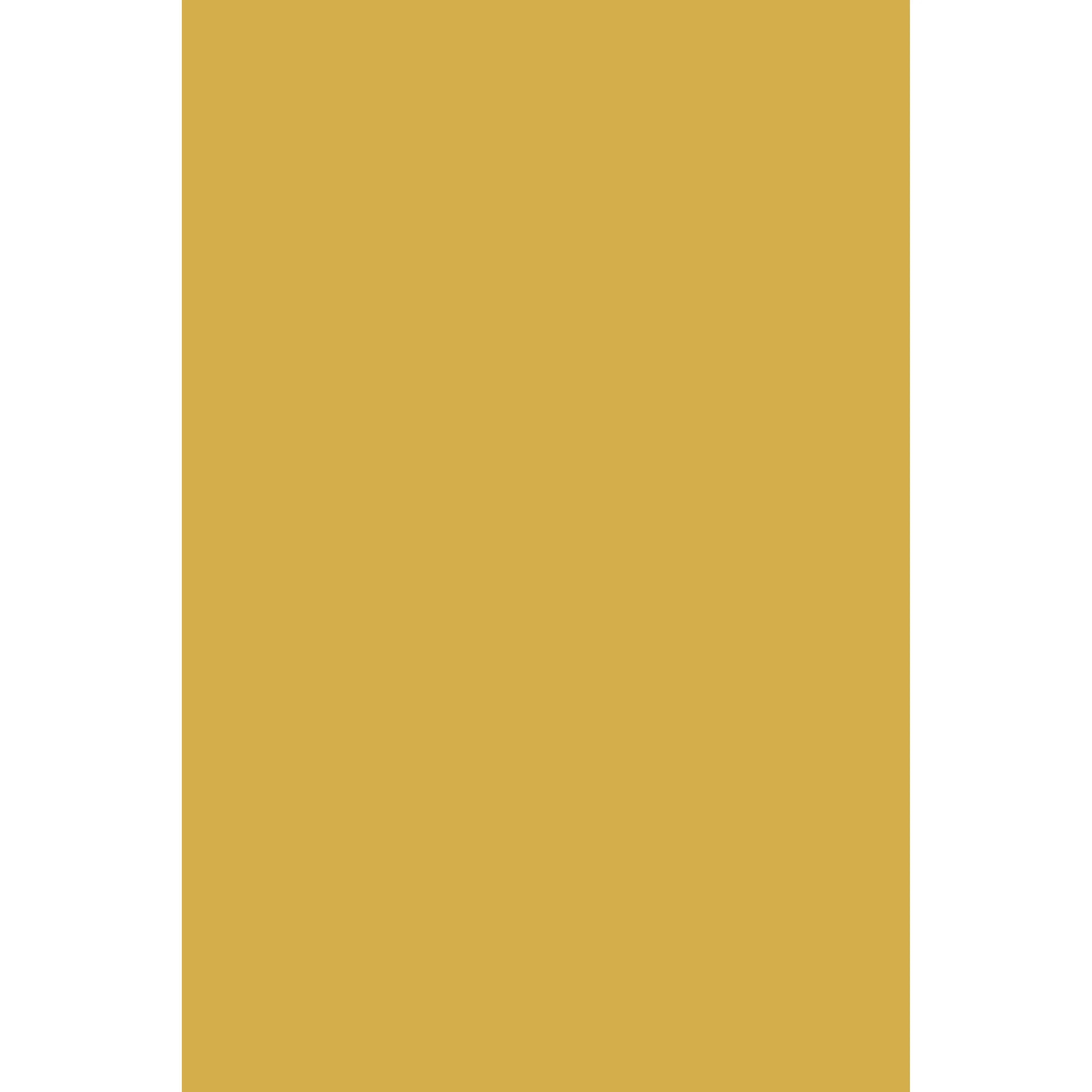 Print Room Yellow No. 69 peinture Farrow & Ball - Image 2