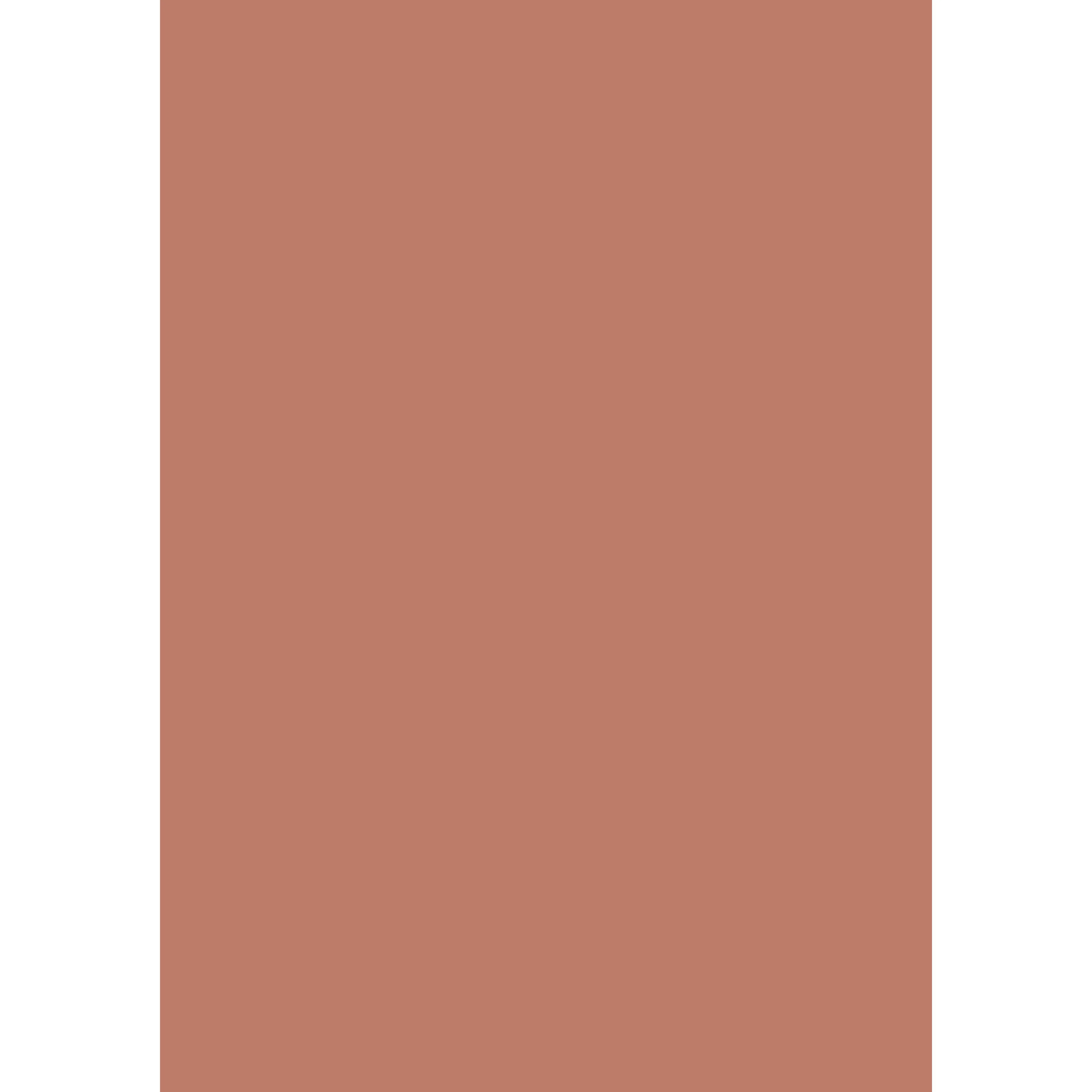 Red Earth No. 64 peinture Farrow & Ball - Image 3