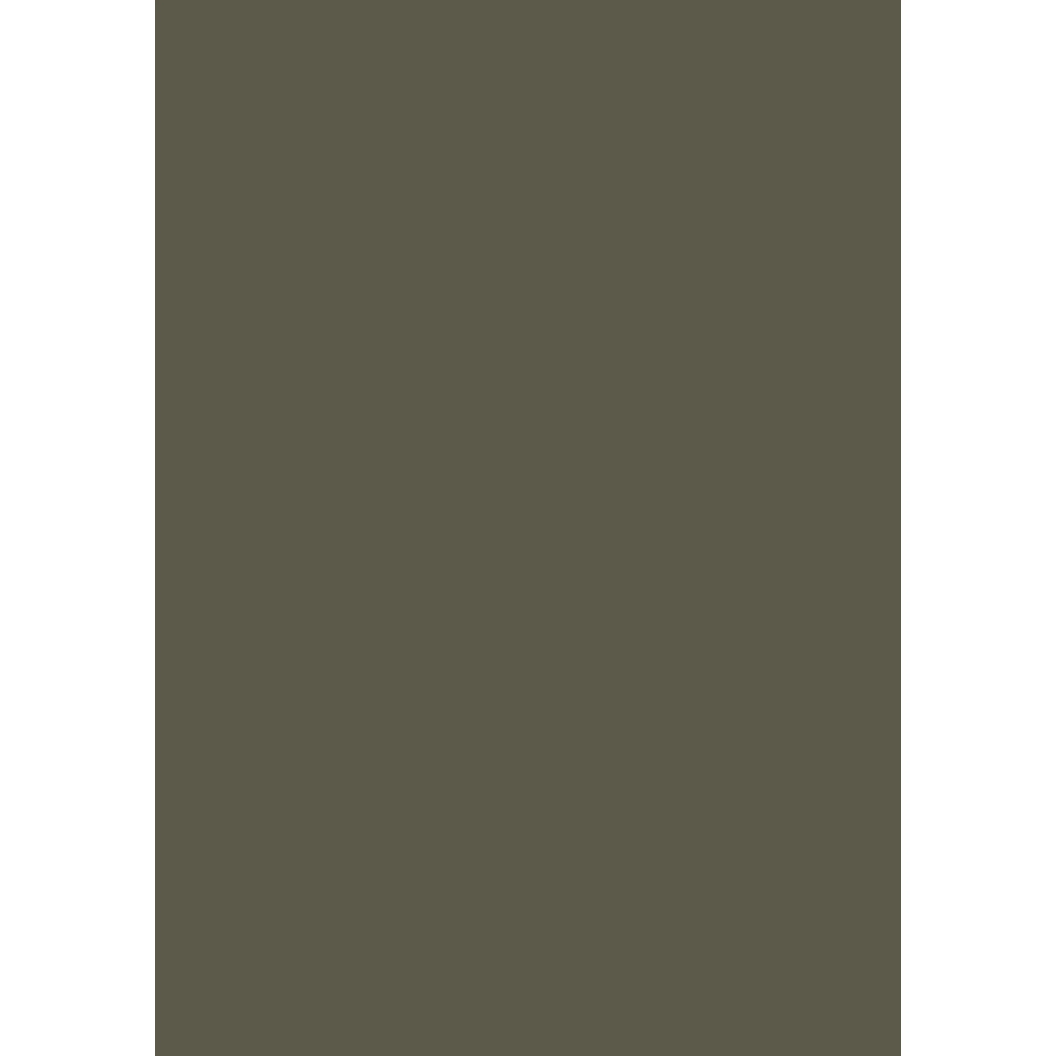 Reduced Green No. 313 peinture Farrow & Ball - Image 3