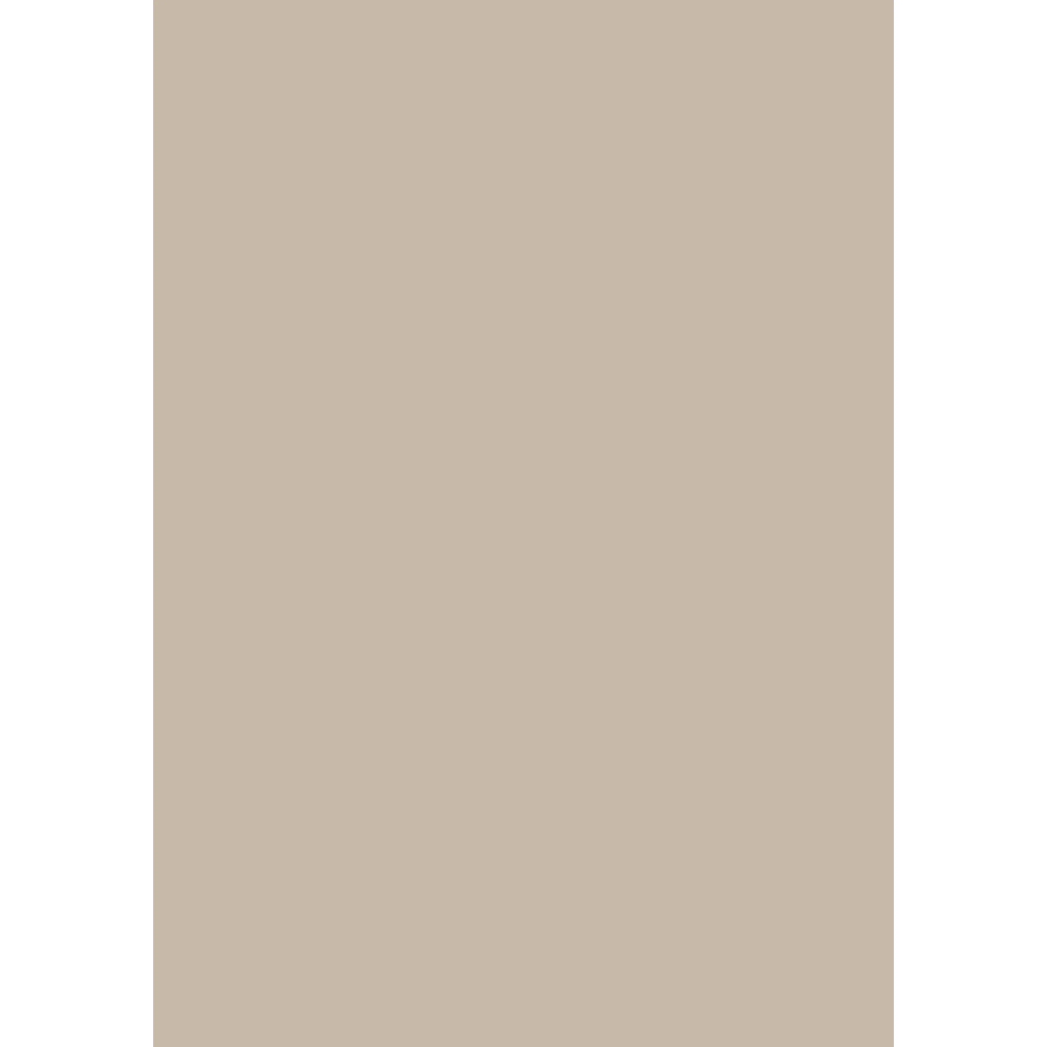 Roasted Macadamia No. CB2 peinture Farrow & Ball - Image 3