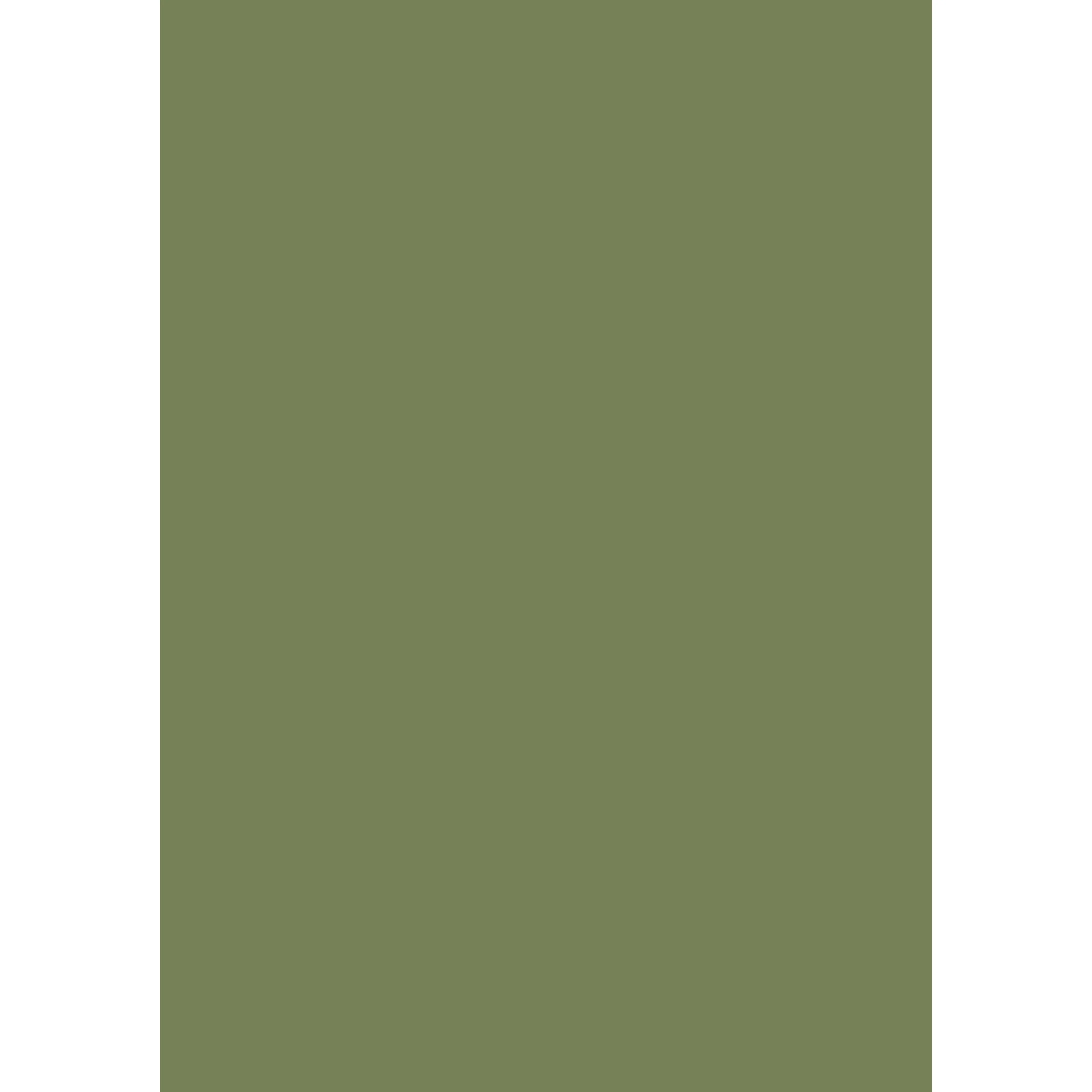 Sap Green No. 199 peinture Farrow & Ball - Image 3