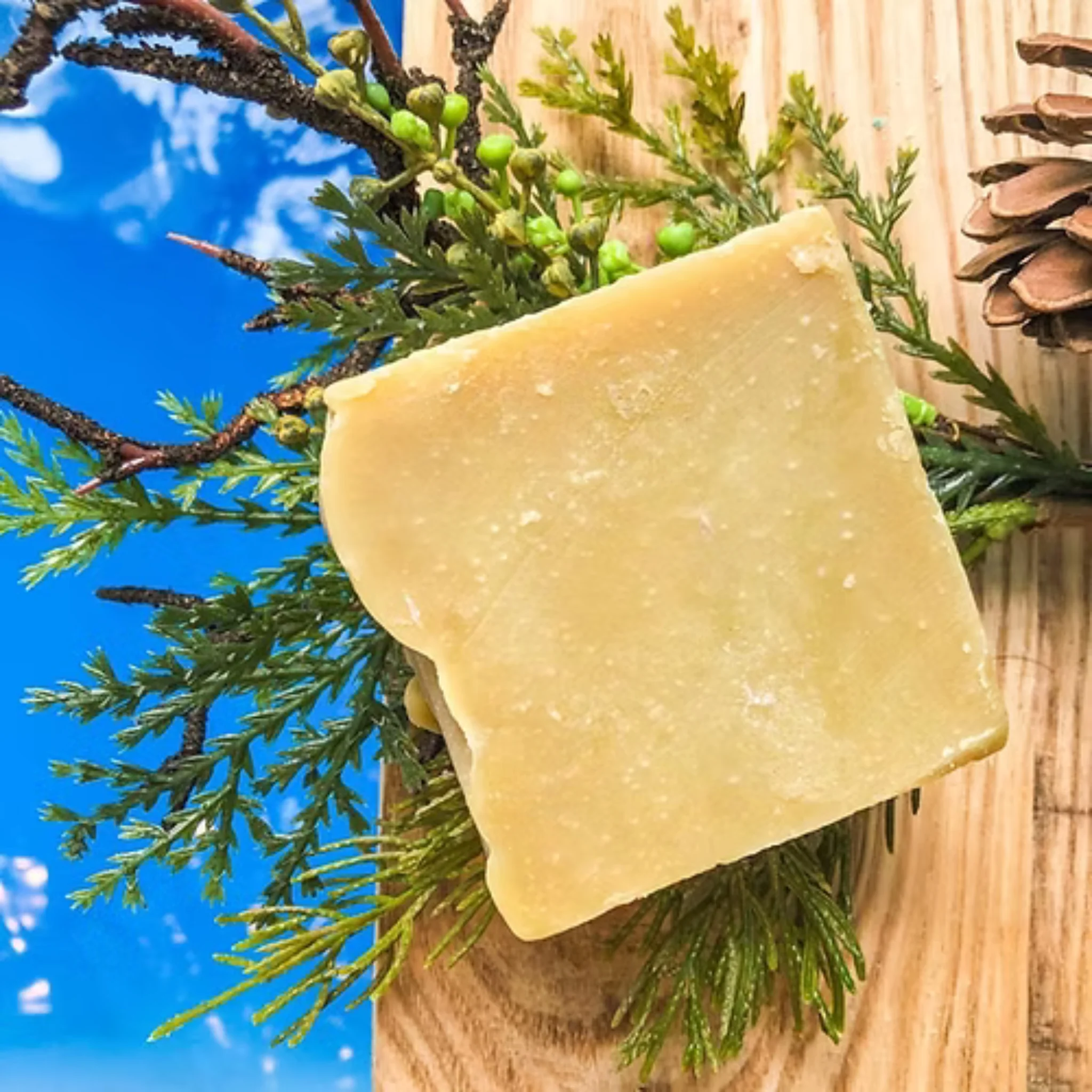 Savon de camping