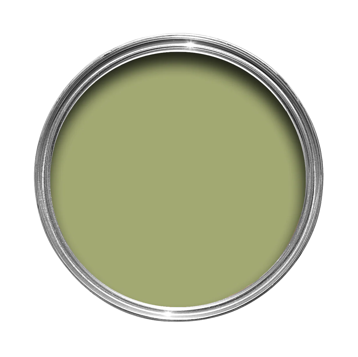 Saxon Green No. 80 peinture Farrow & Ball
