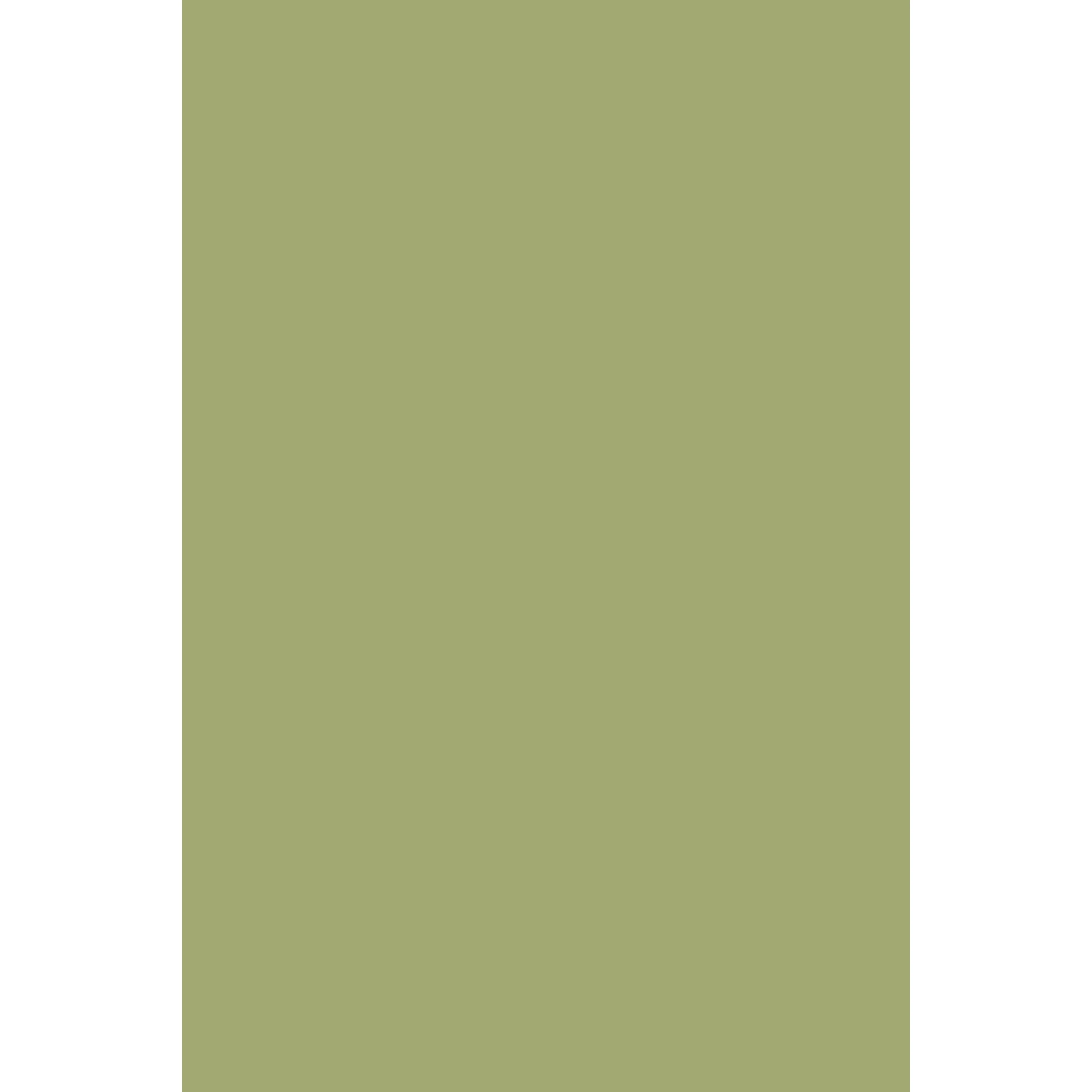 Saxon Green No. 80 peinture Farrow & Ball - Image 2
