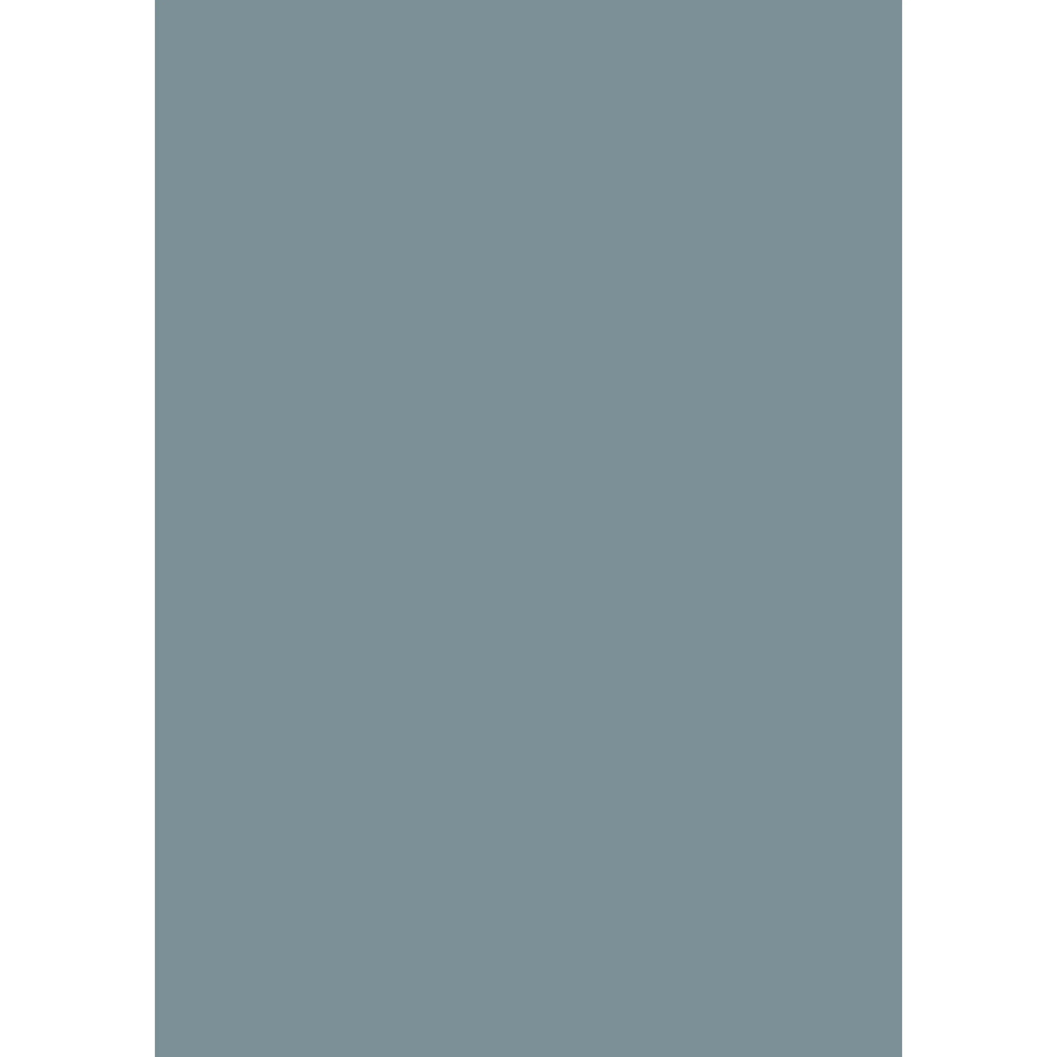 Selvedge No. 306 peinture Farrow & Ball - Image 3