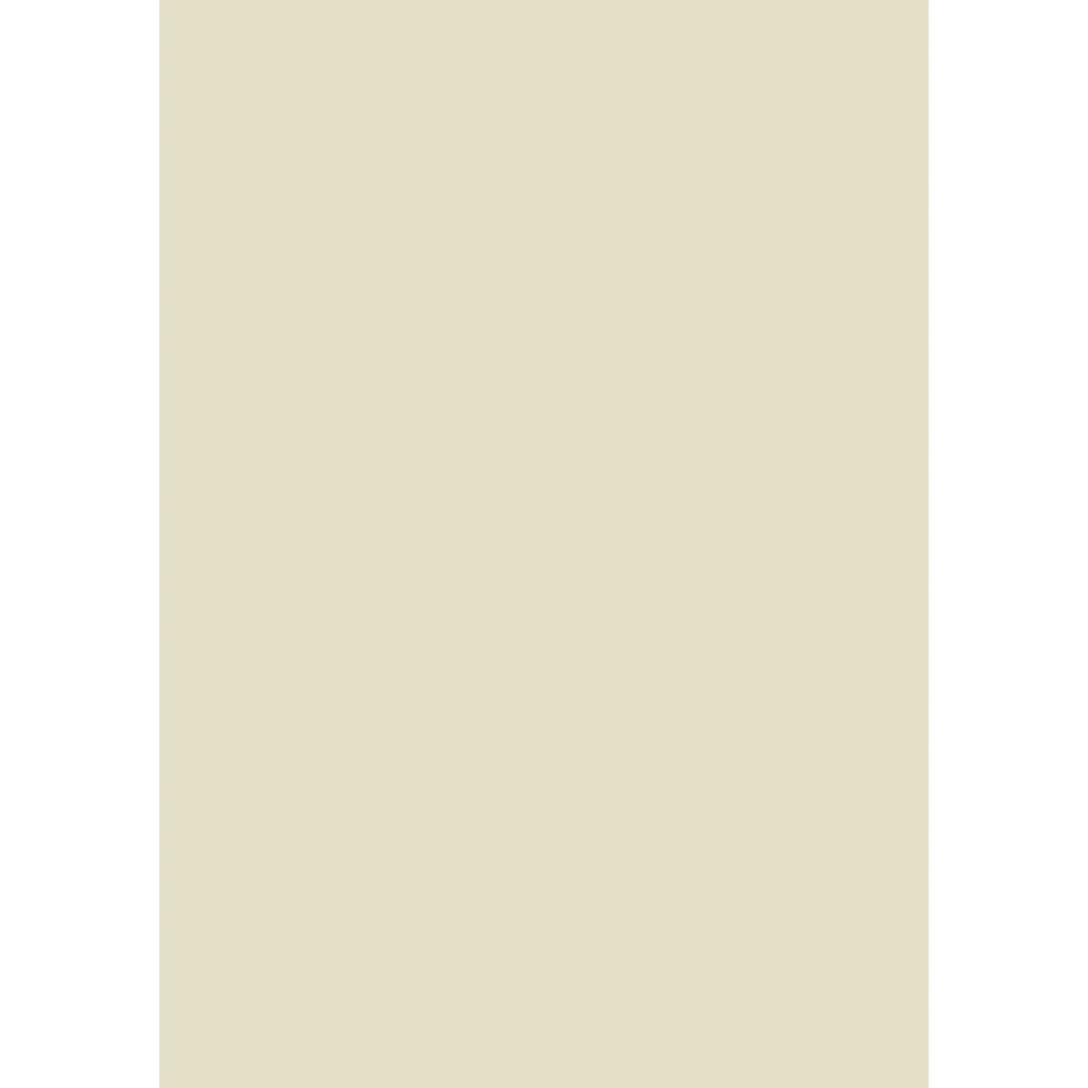 Shaded White No. 201 peinture Farrow & Ball - Image 3