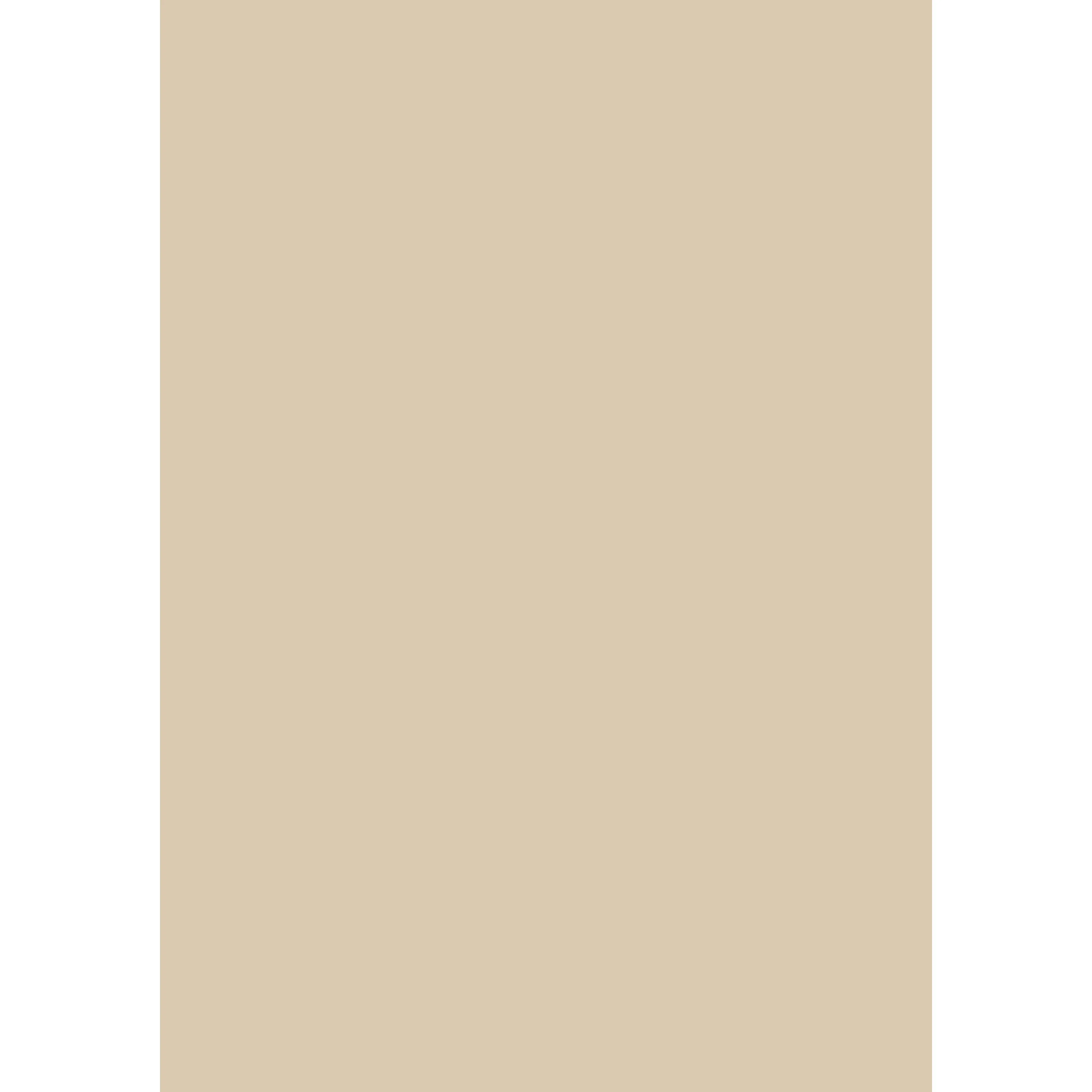 Stony Ground No. 211 peinture Farrow & Ball - Image 3