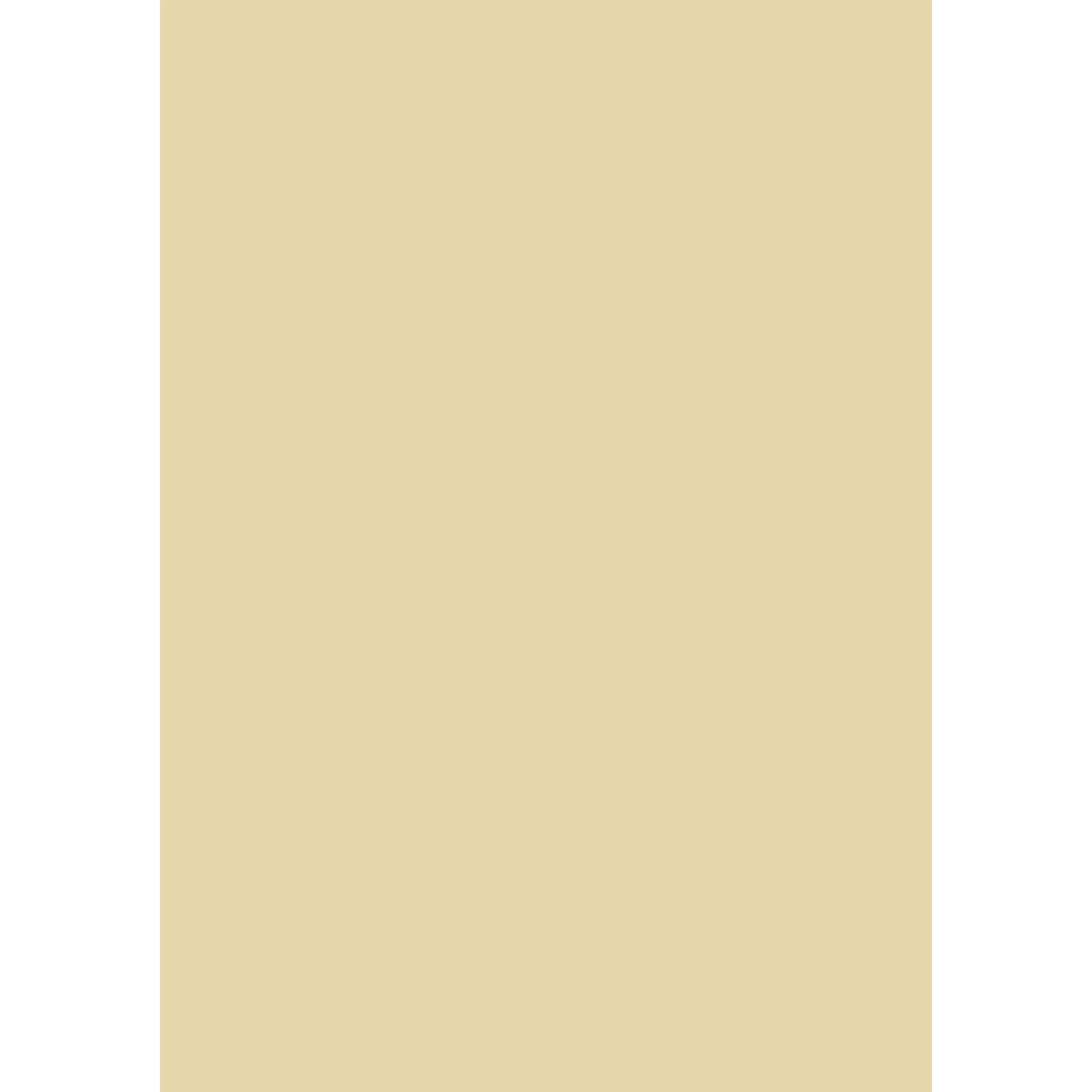 String No. 8 peinture Farrow & Ball - Image 3