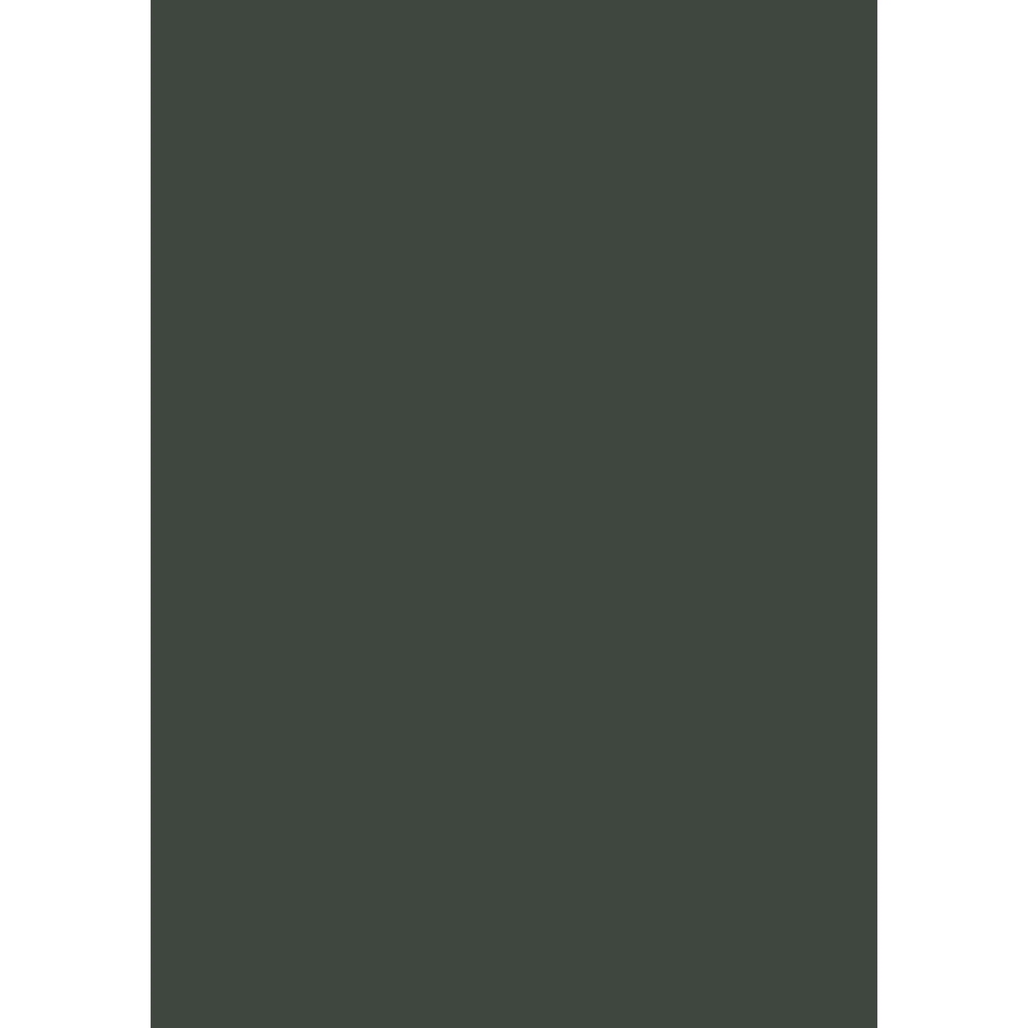 Studio Green No. 93 peinture Farrow & Ball - Image 3