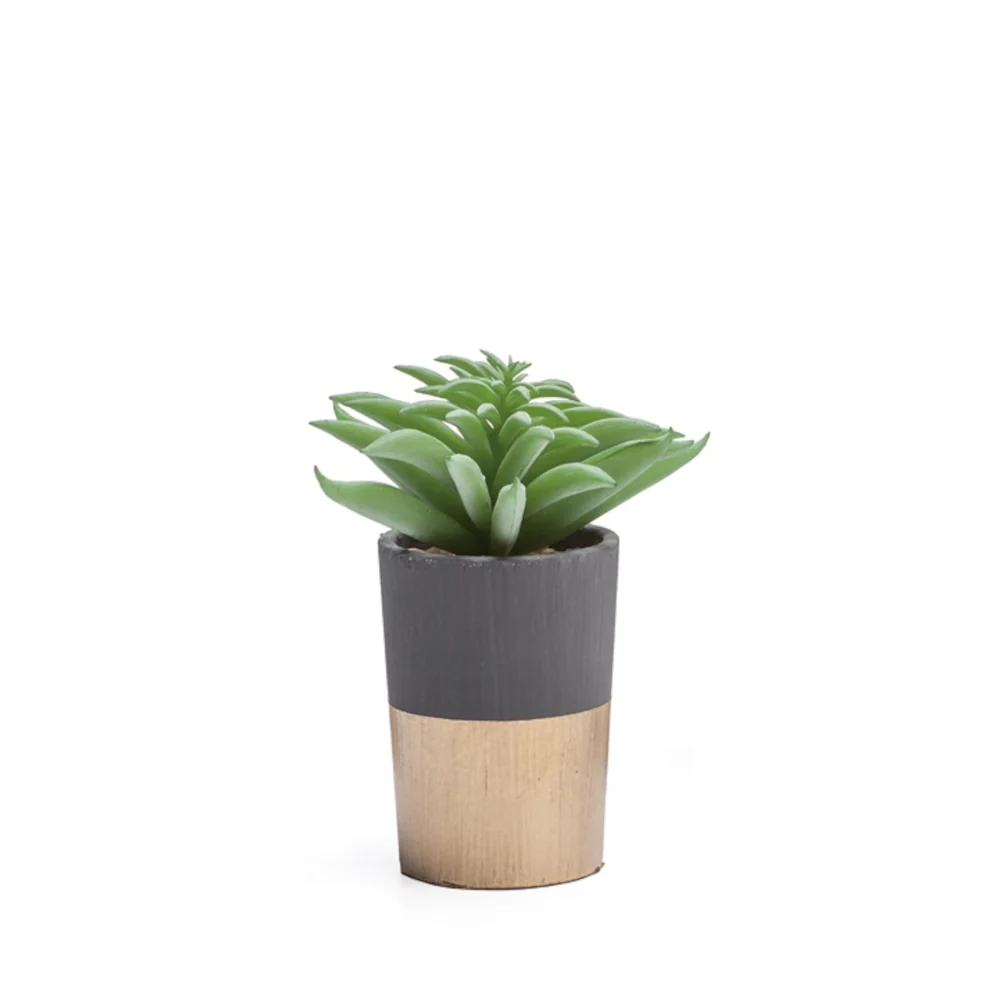 Succulente artificielle en pot ciment et or 2'' D X 3'' H
